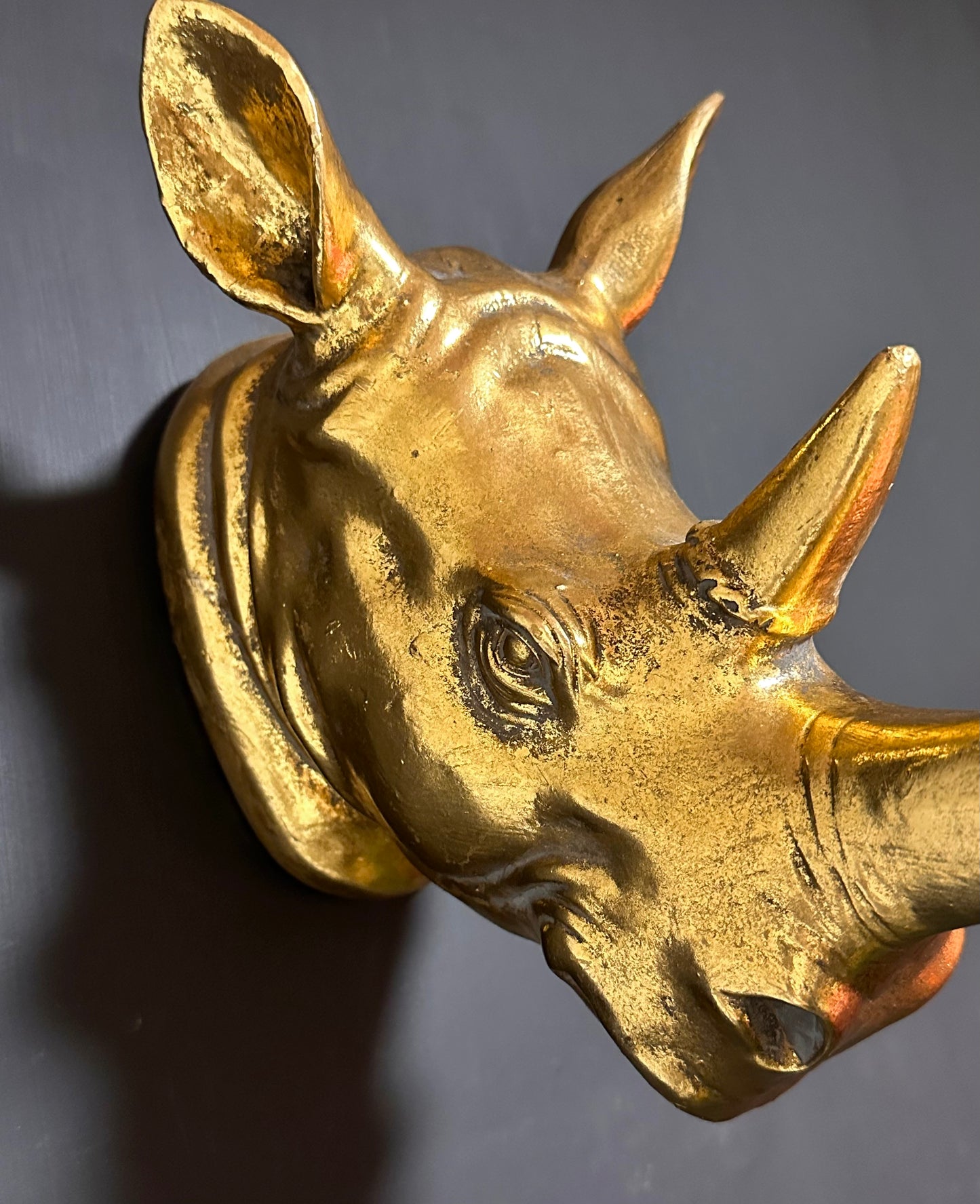 Gold Wall Mounted Rhino Head