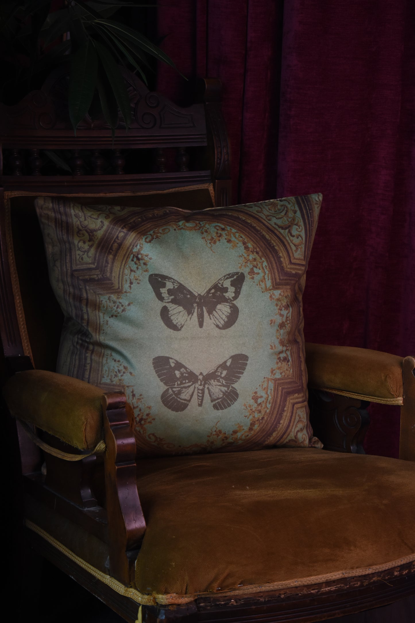 Star Crossed - Velvet Classical Cushion