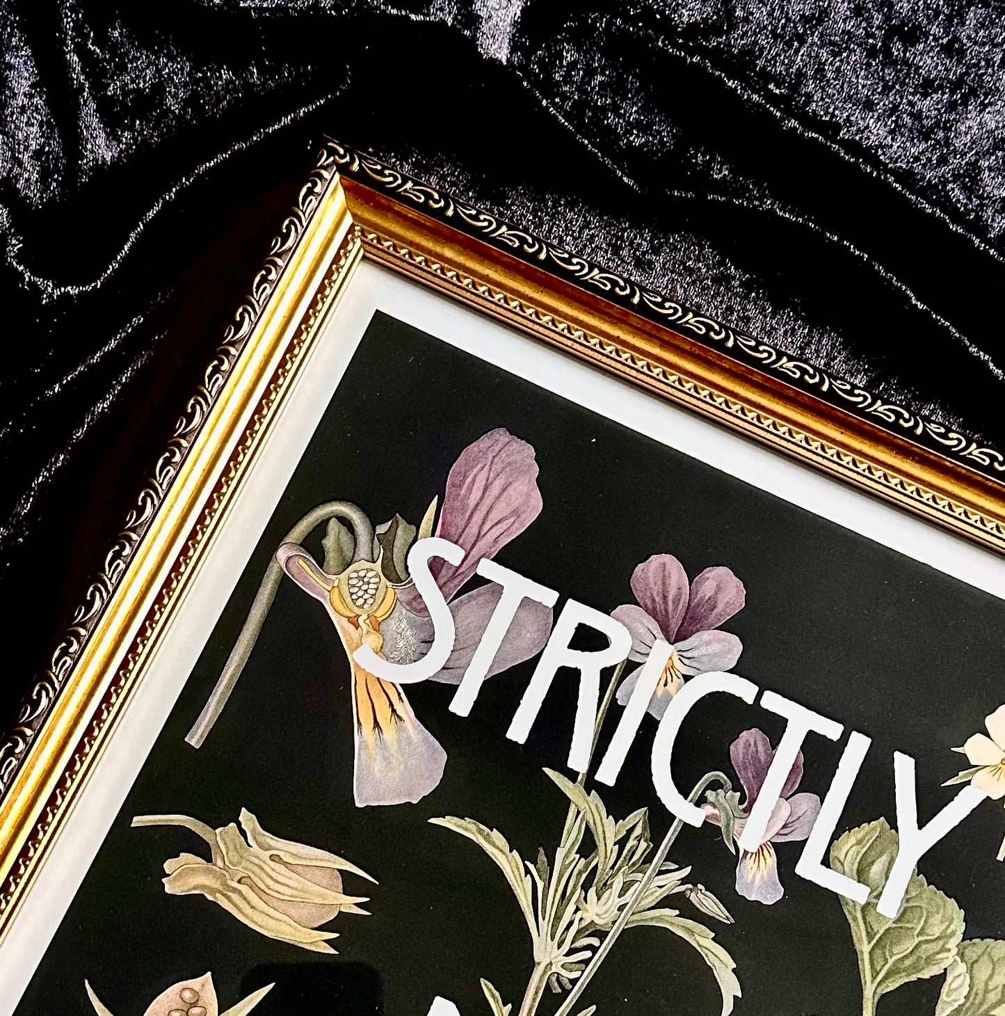 Strictly No Twats A3 Print