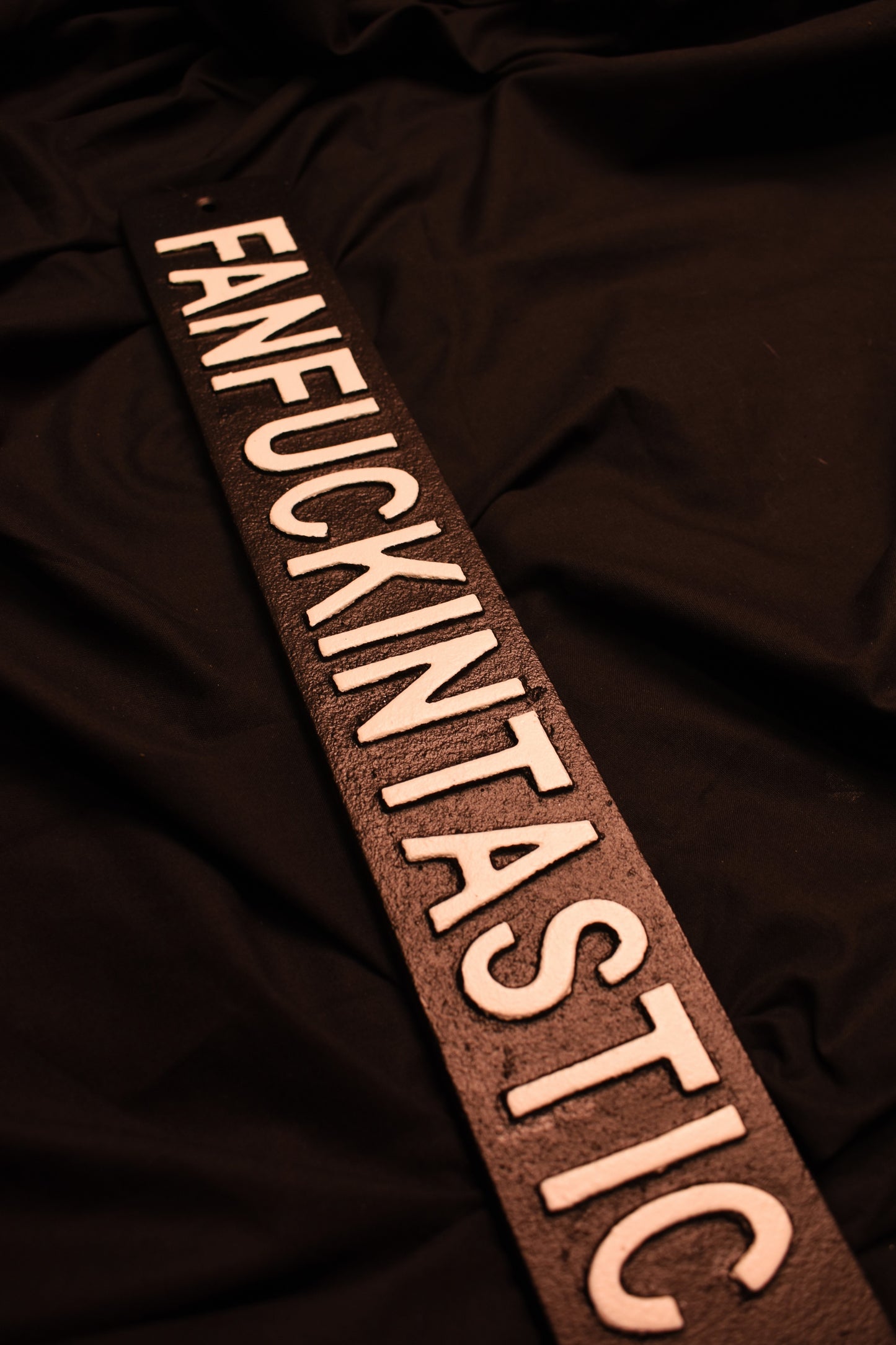 Fanfuckintastic - Metal Sign