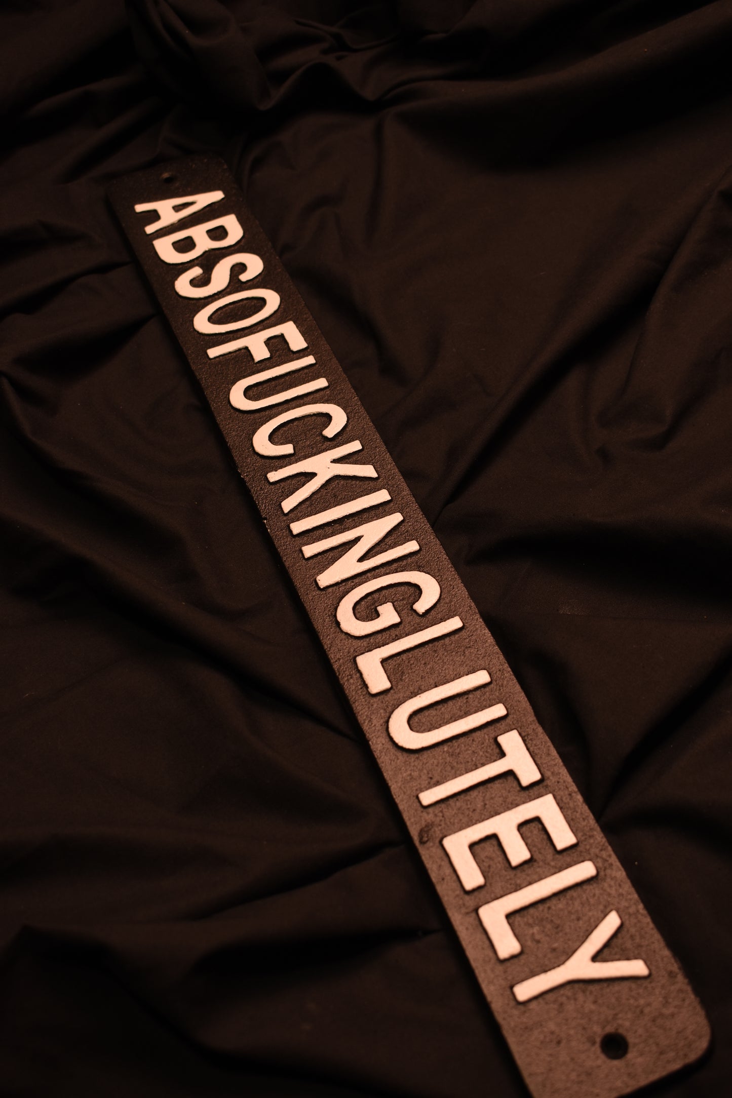 Absofuckinglutely - Metal Sign