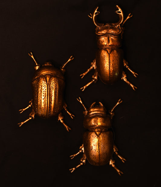 Set of Three Gold Wall Beetles