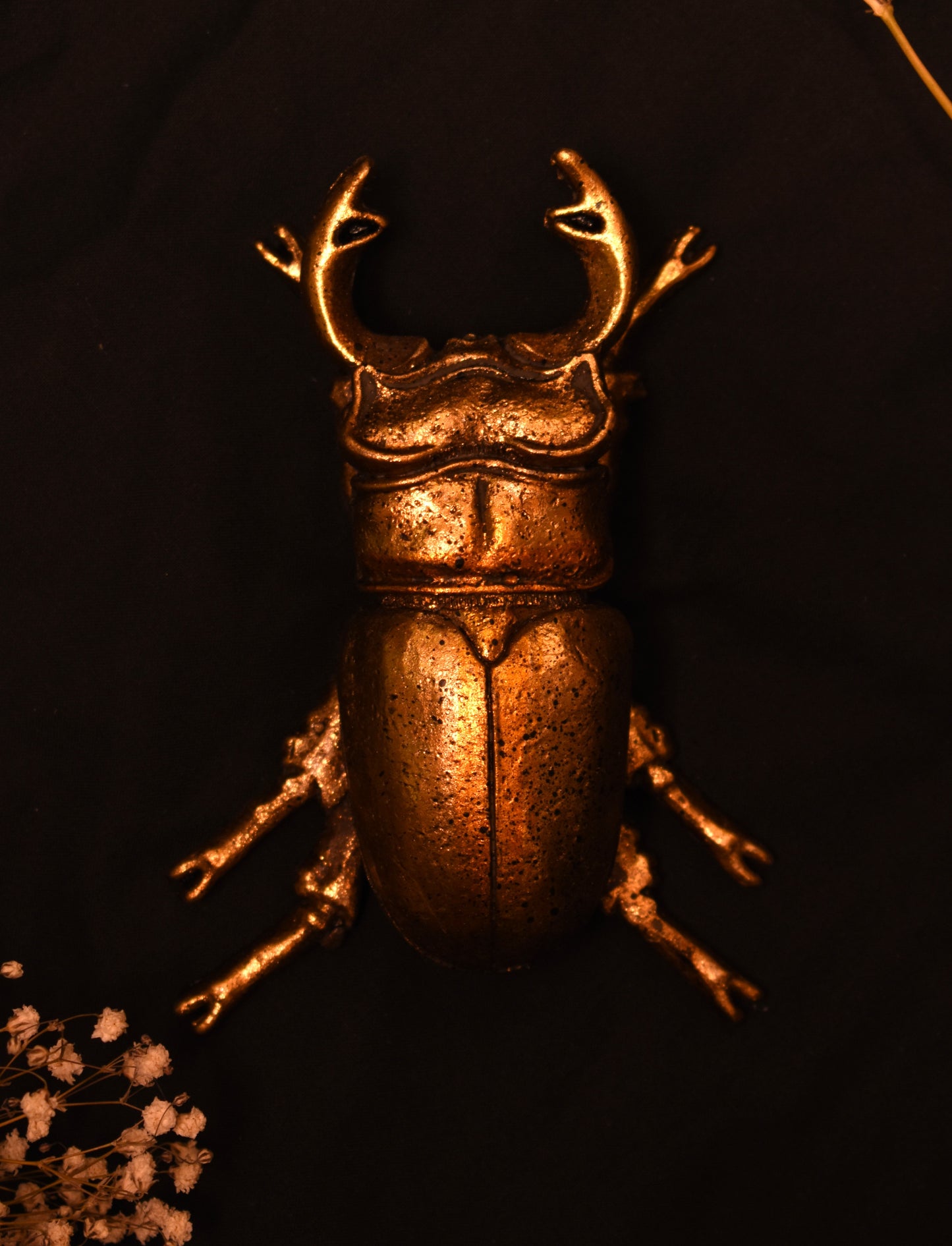 Set of Three Gold Wall Beetles