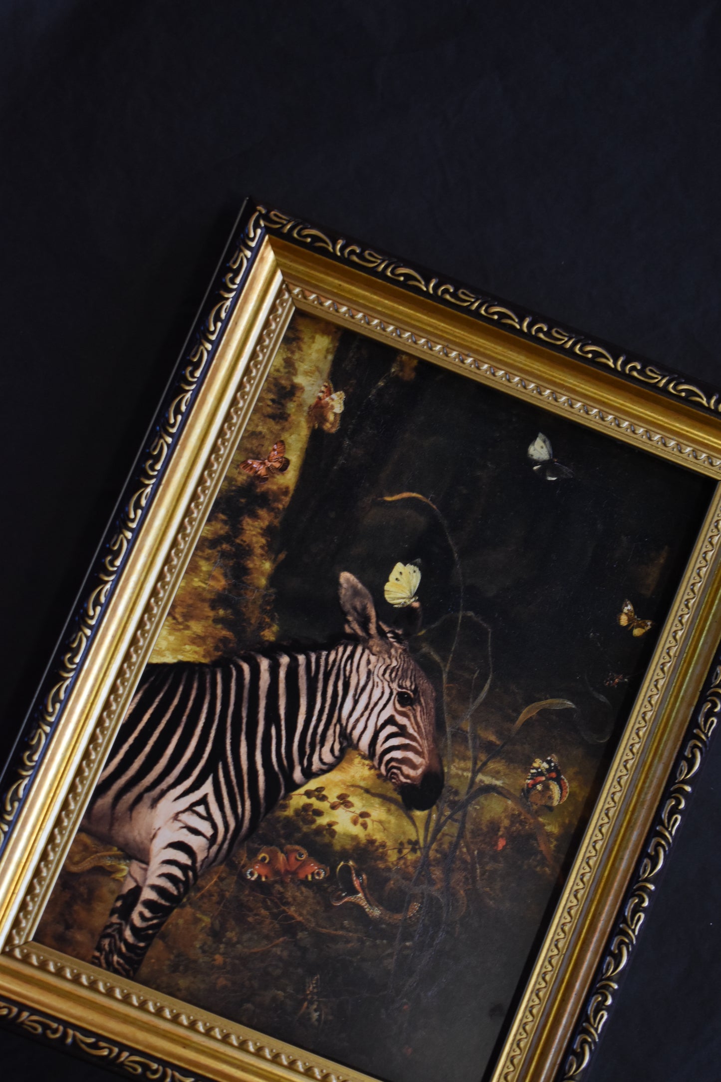 A5 Print 'Zebra'