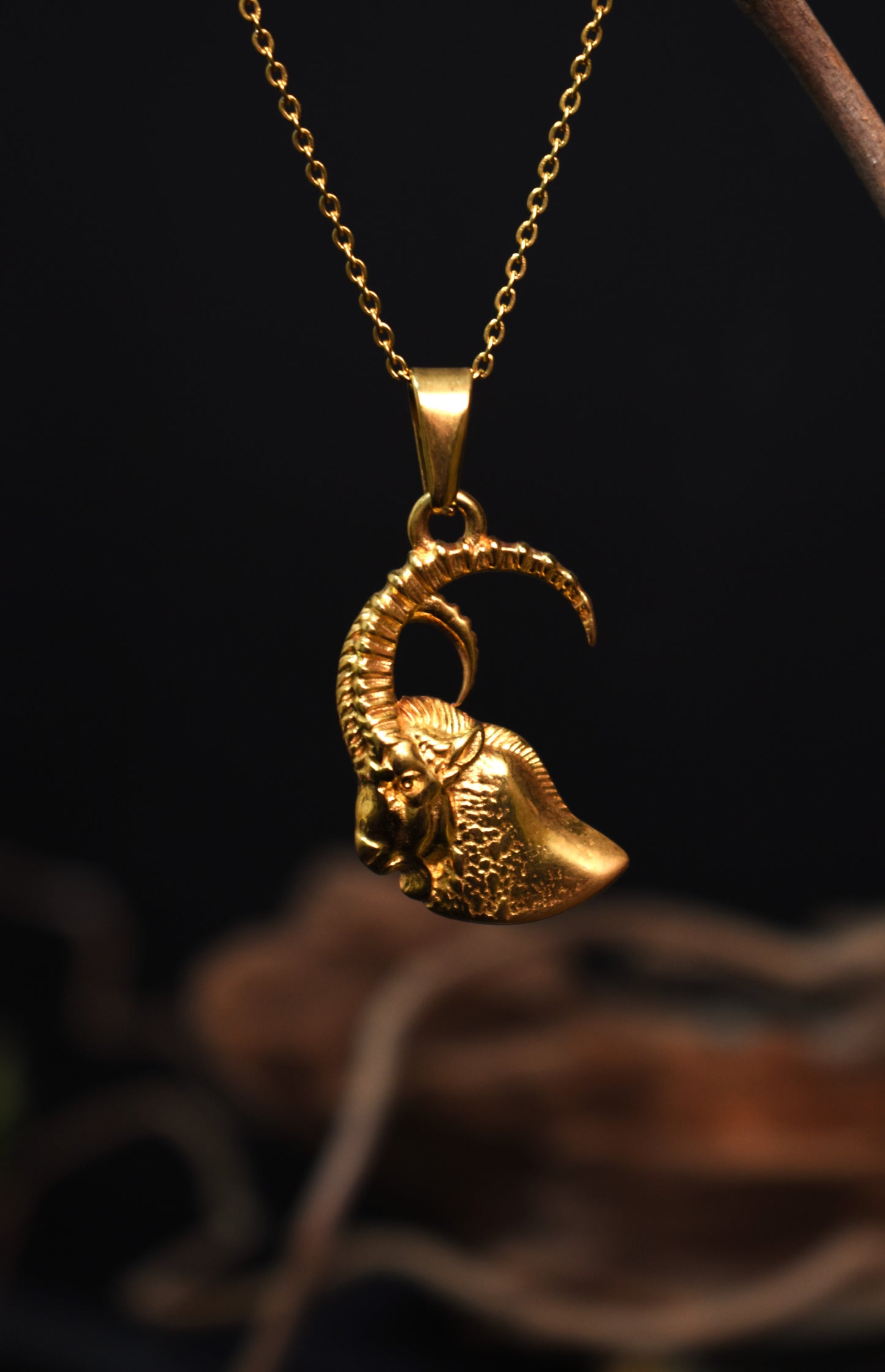Capricorn Necklace - The Zodiac Collection