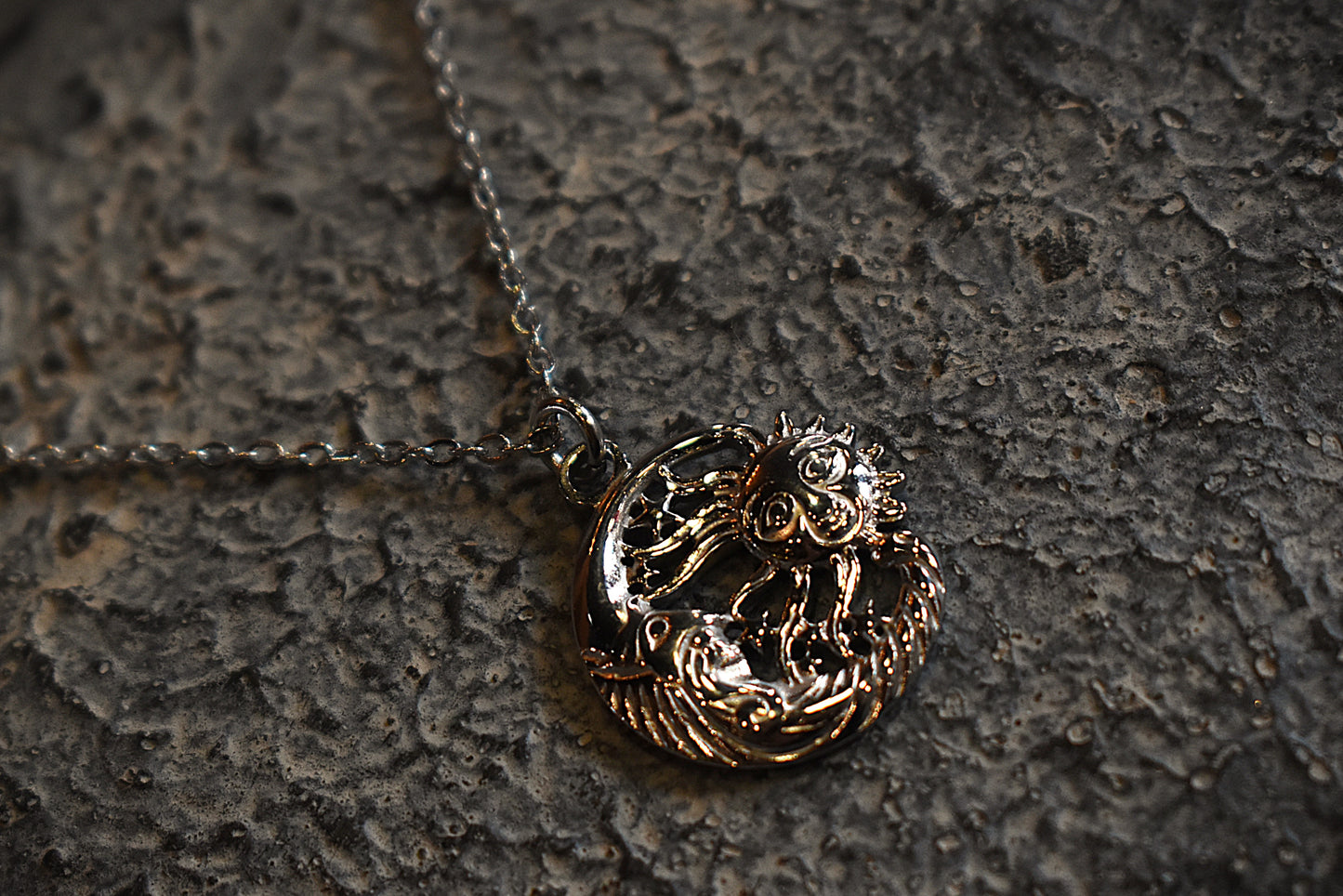 Eternal Eclipse Necklace ~ Silver