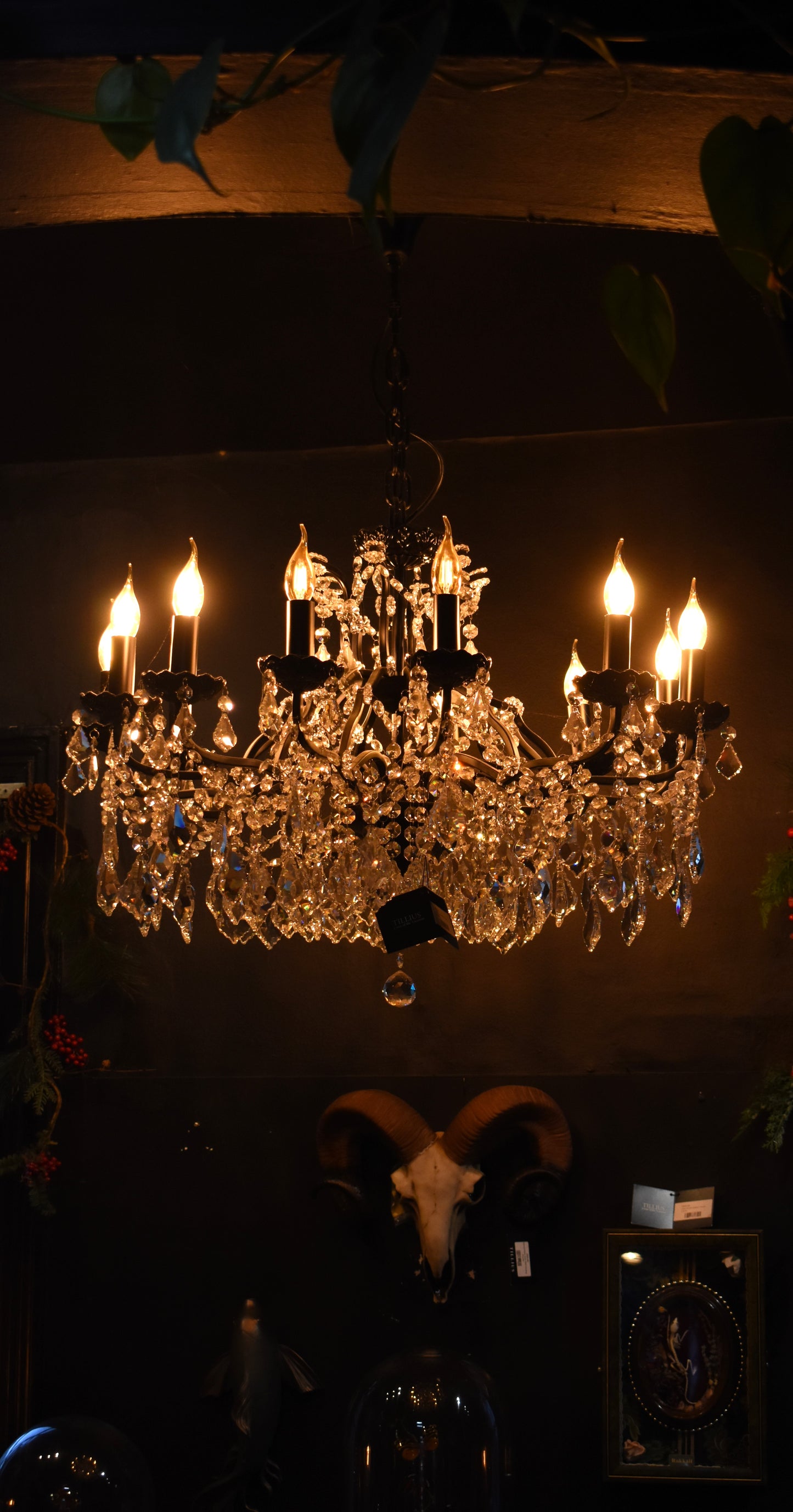 Large 12 Branch Black Shallow Chandelier - PRE ORDER