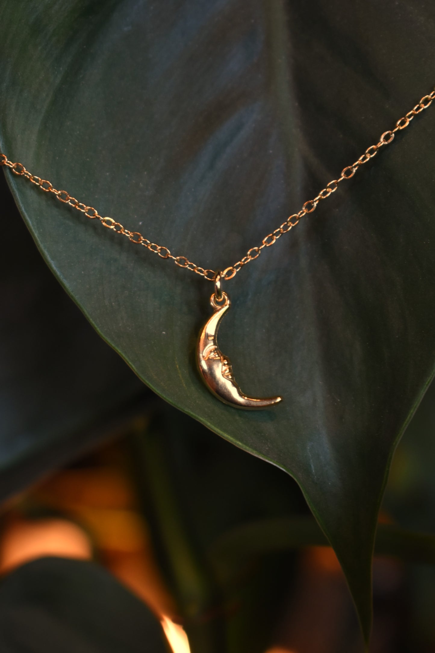 Moonfall Necklace ~ Gold