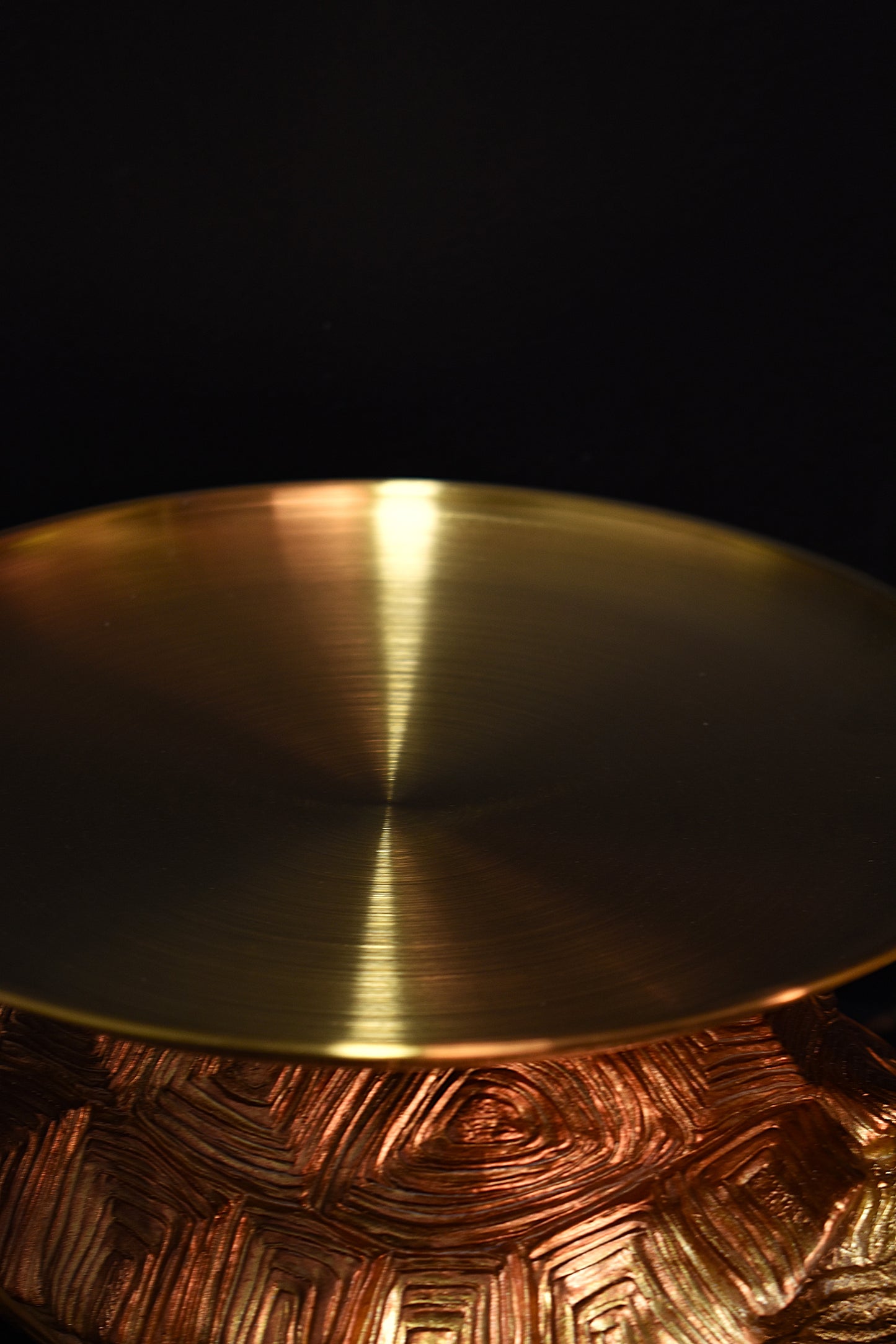 Gold and Bronze Tortoise Platter