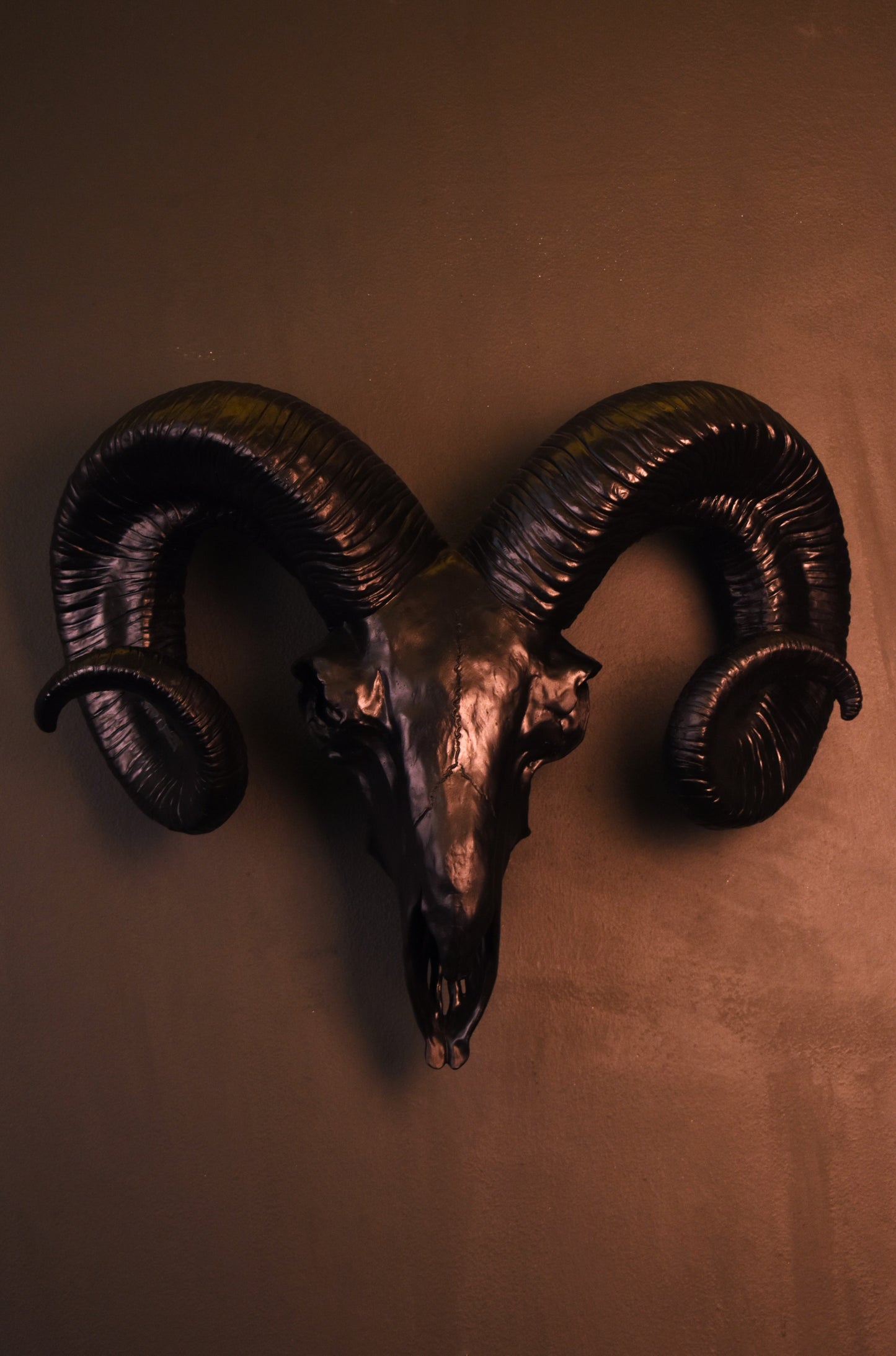 Matte Black Ram Head Wall Hanging