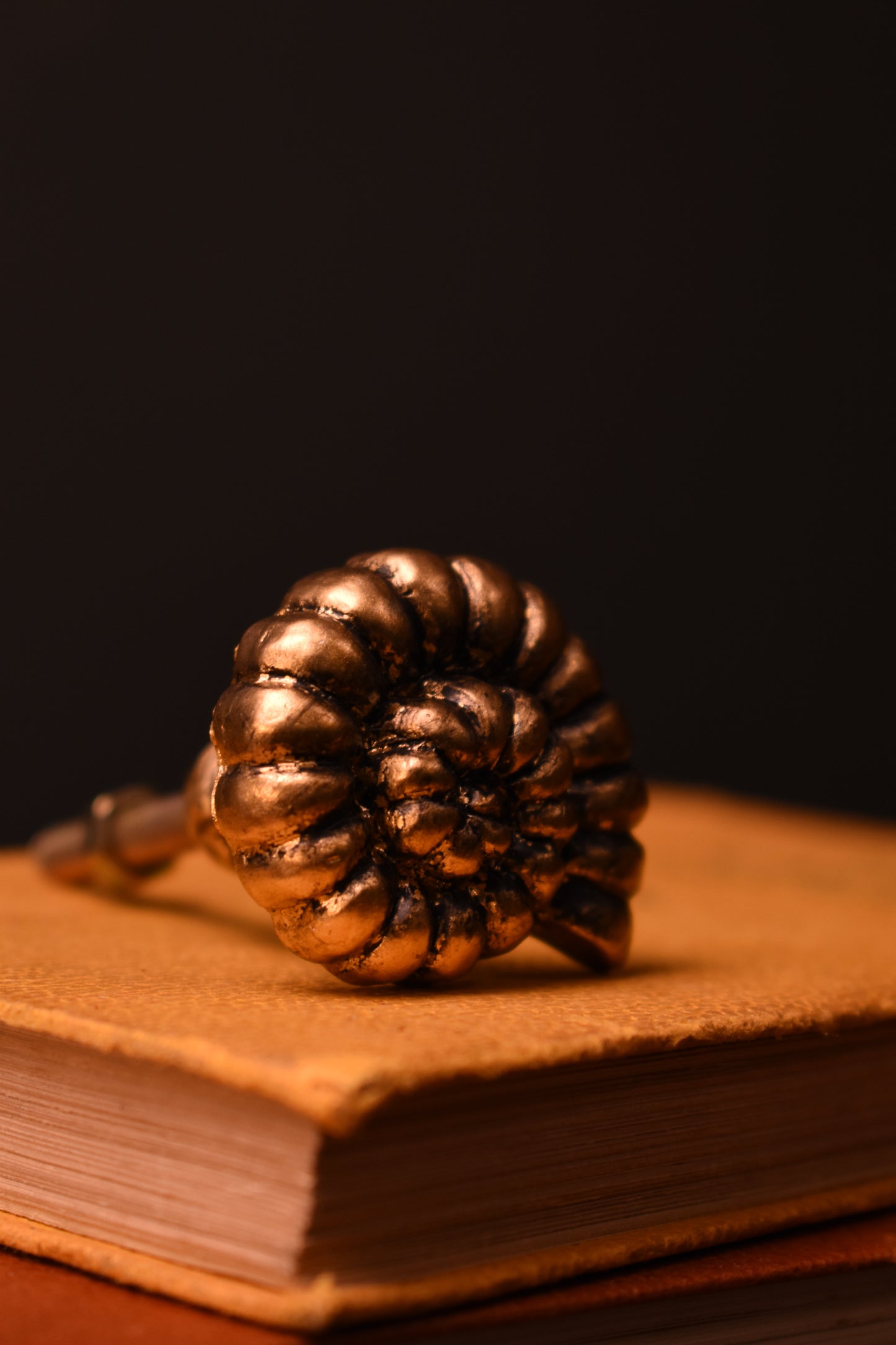 Gold Ammonite Knob