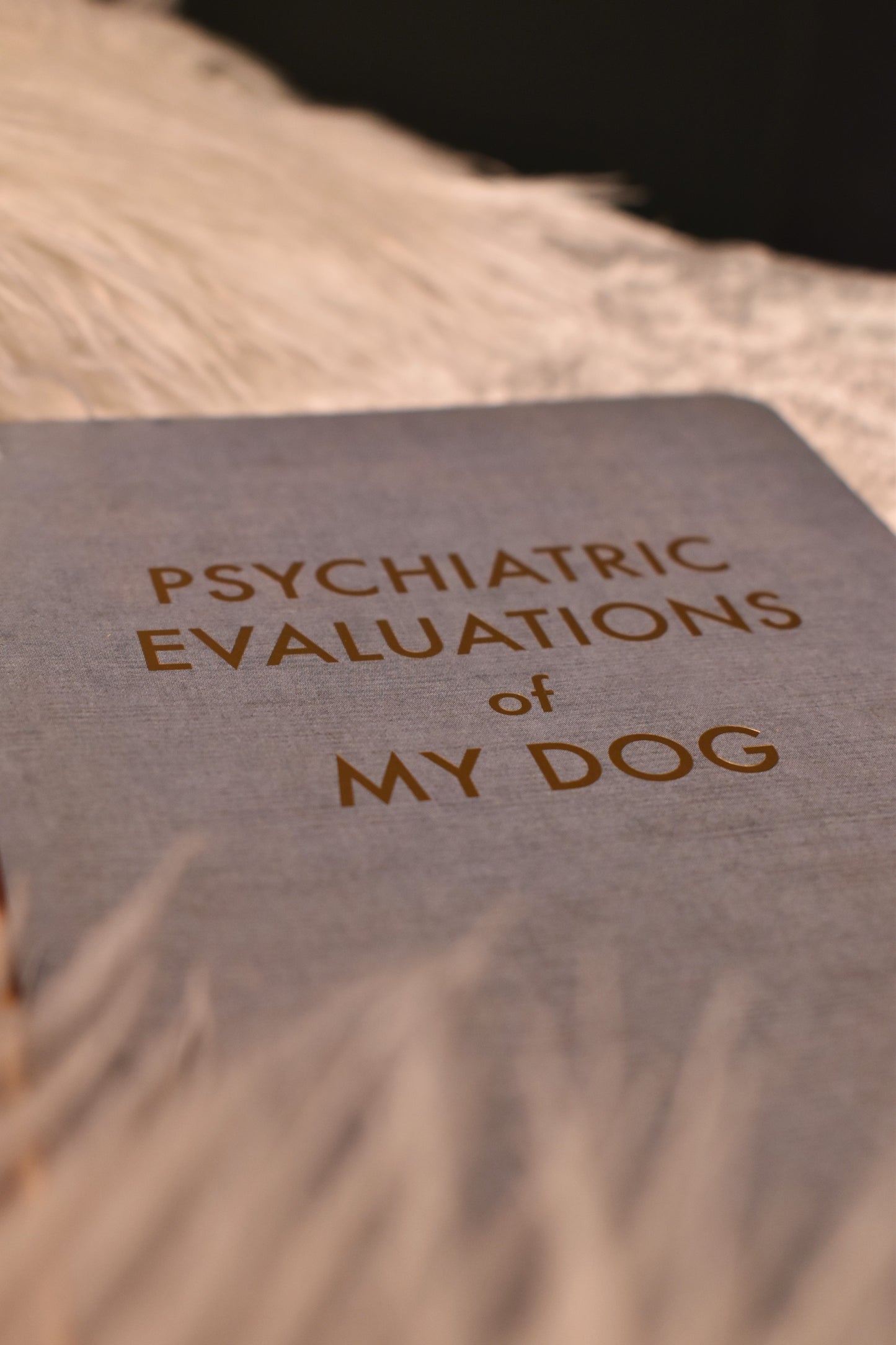 A5 Notebook 'Psychiatric Evaluations of My Dog'