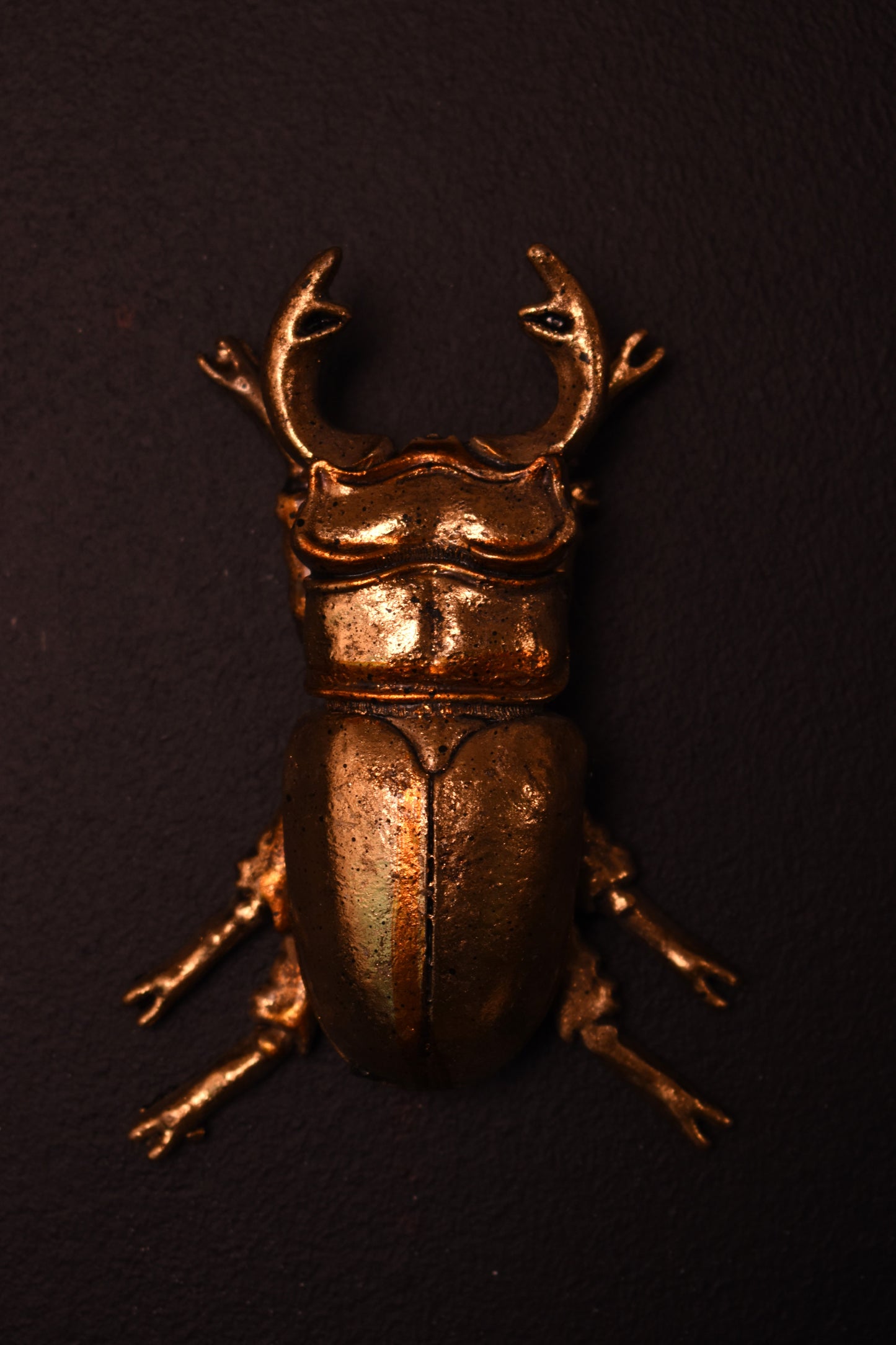 Set of Three Gold Wall Beetles