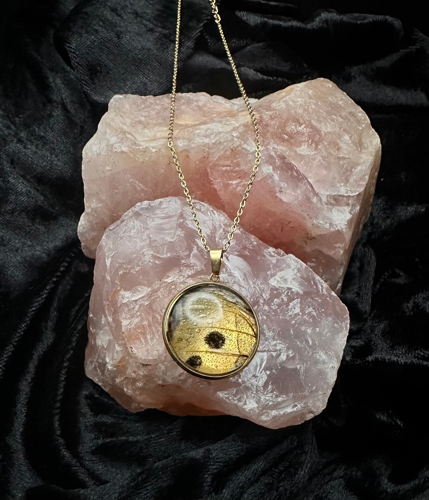 Gold Salamis parhassus Butterfly Wing Necklace