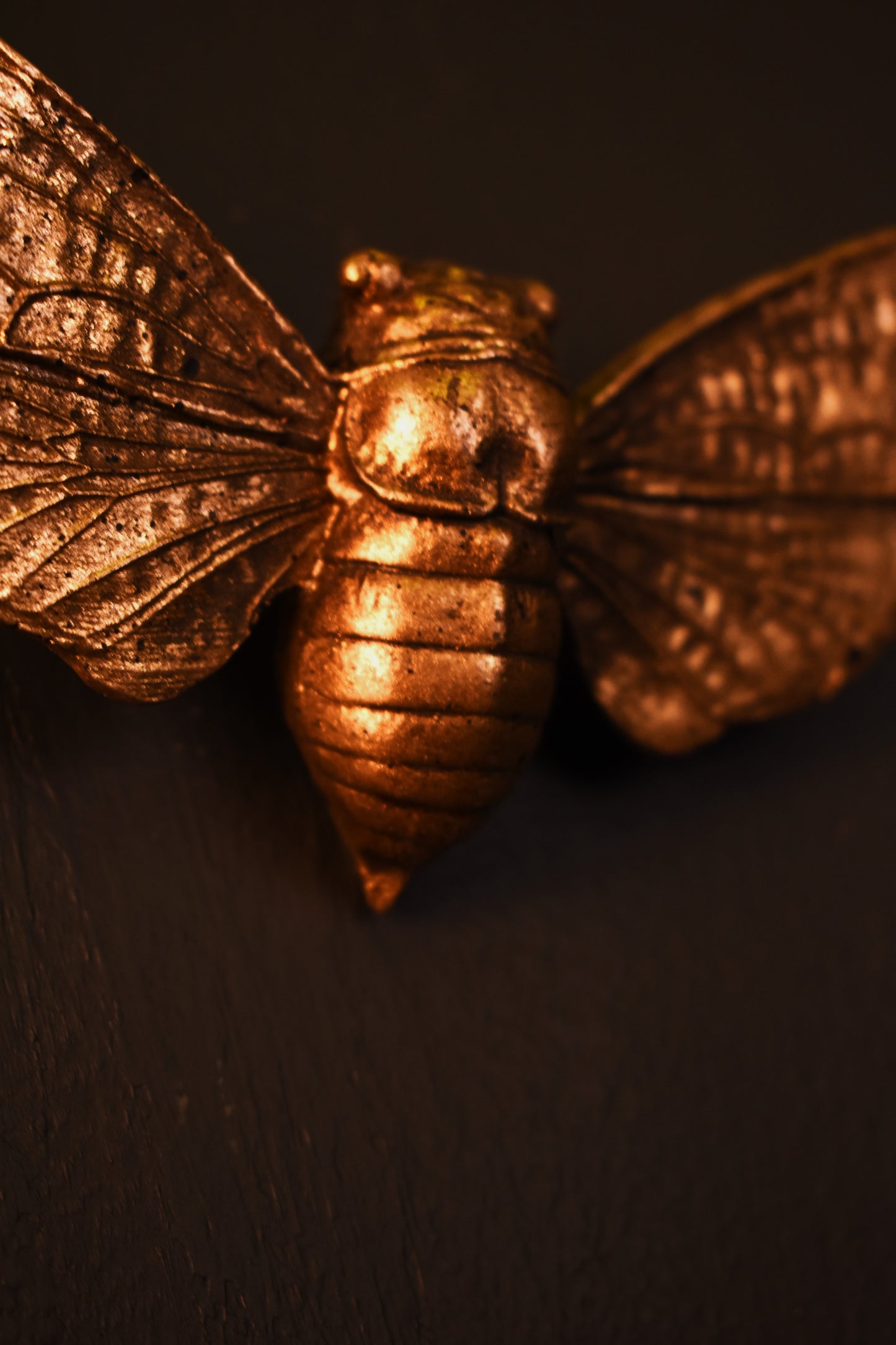 Cicada Wall Decoration