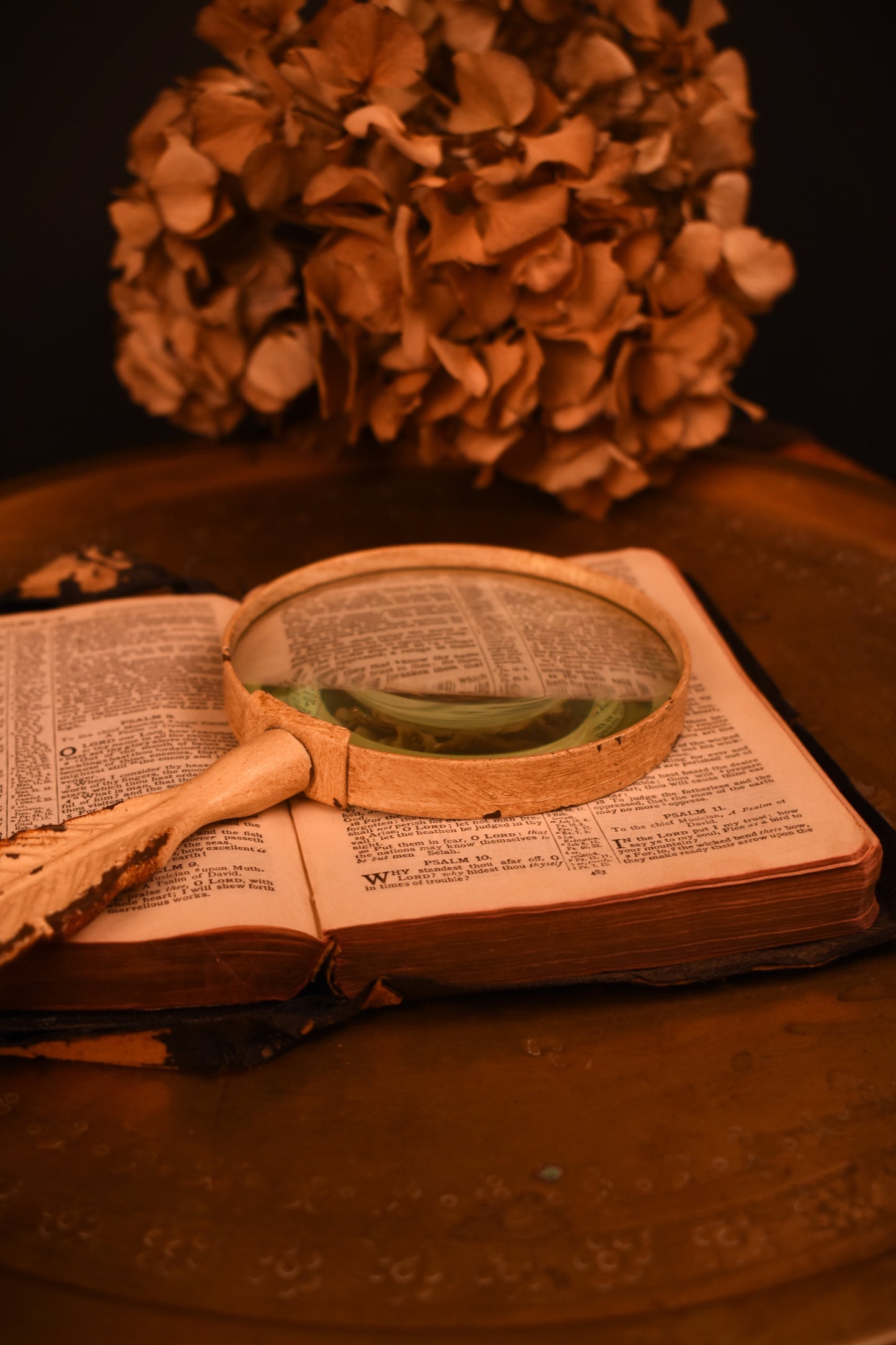 Rustic Feather Magnifying Glass