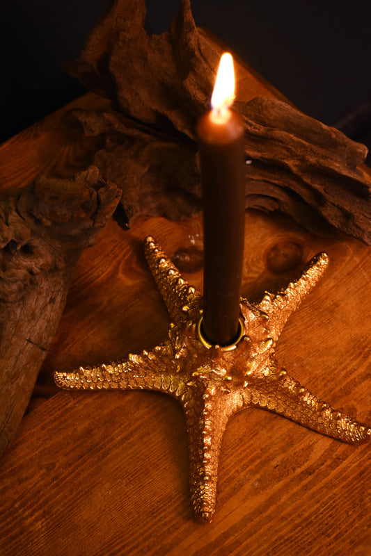 Starfish Candleholder