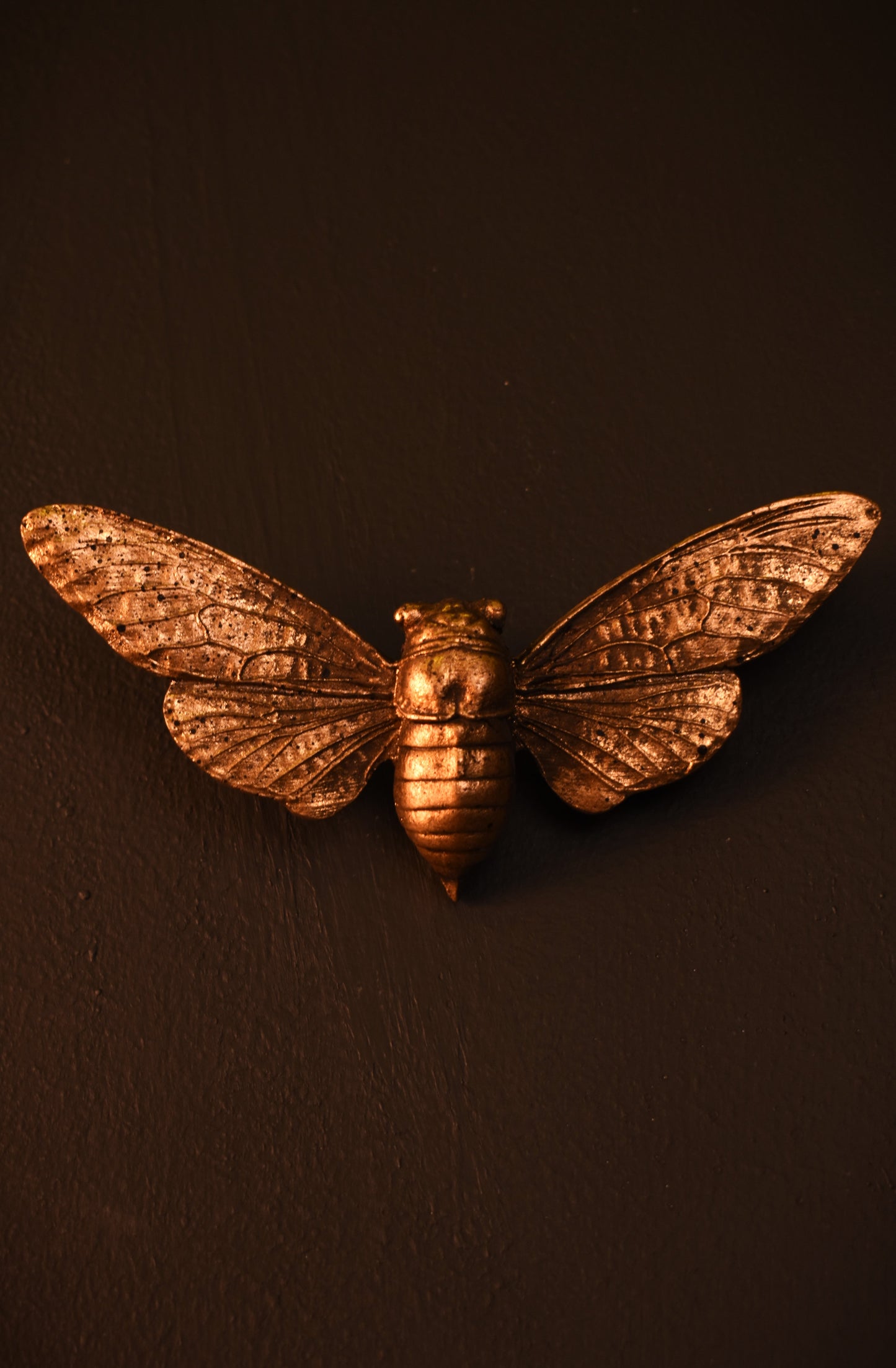 Cicada Wall Decoration