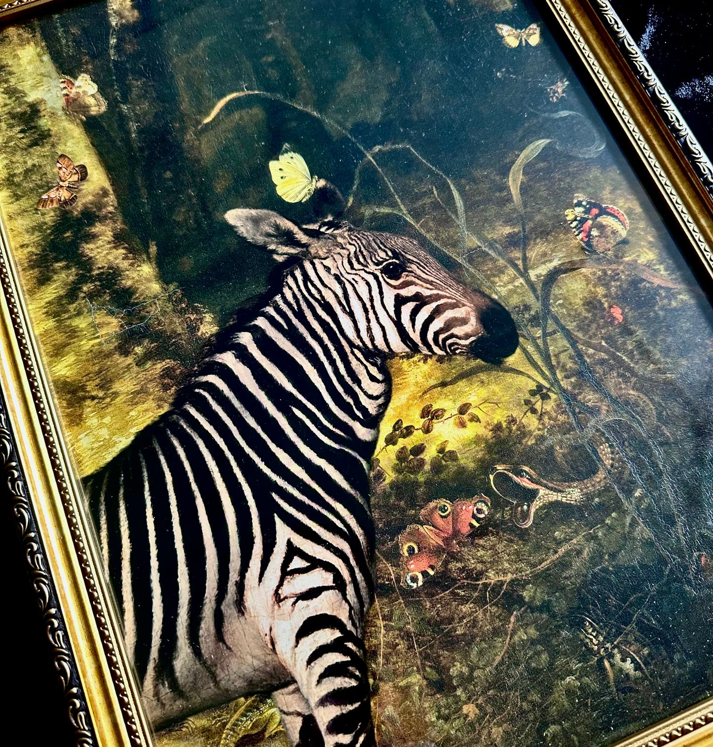 Zebra Nemus A3 Print
