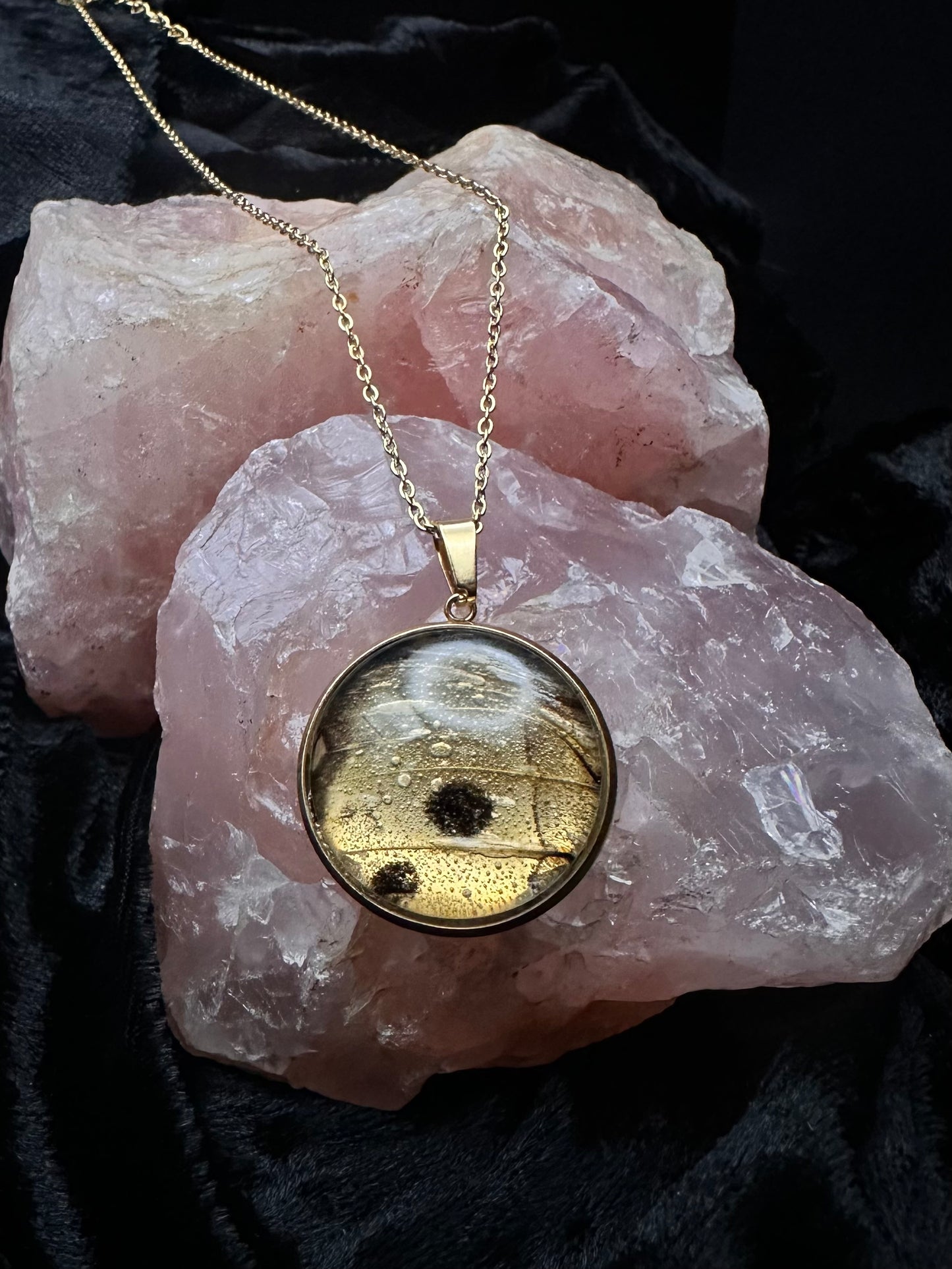Gold Salamis parhassus Butterfly Wing Necklace