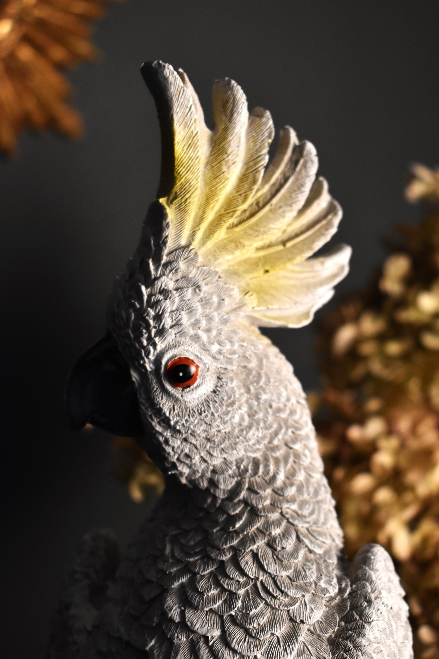 Charlie the Cockatoo