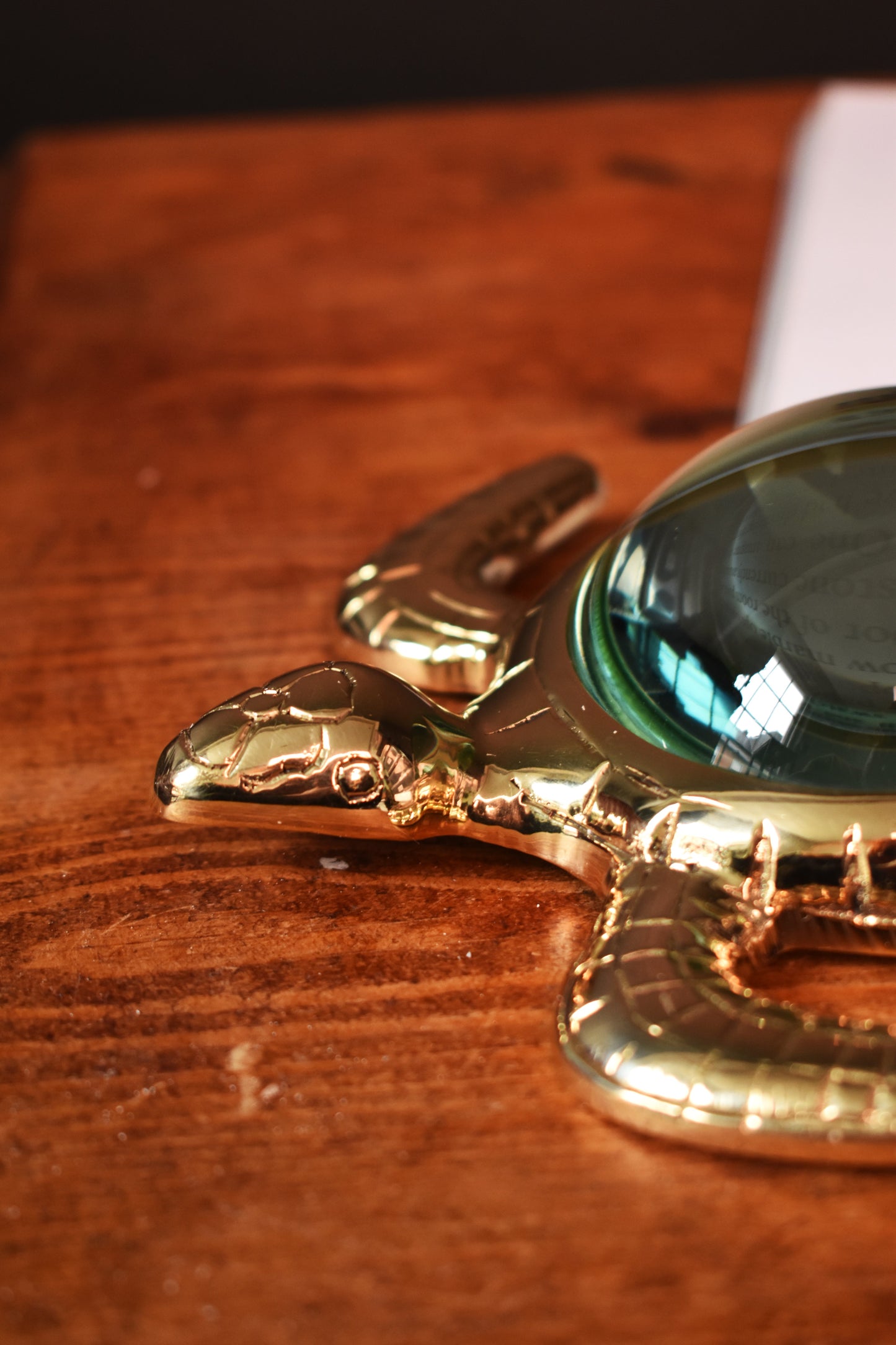 Giant Turtle Magnifying Glass