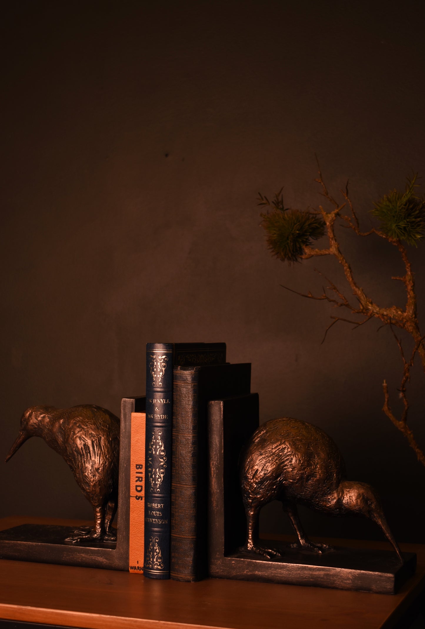 Bronze Kiwi Book Ends