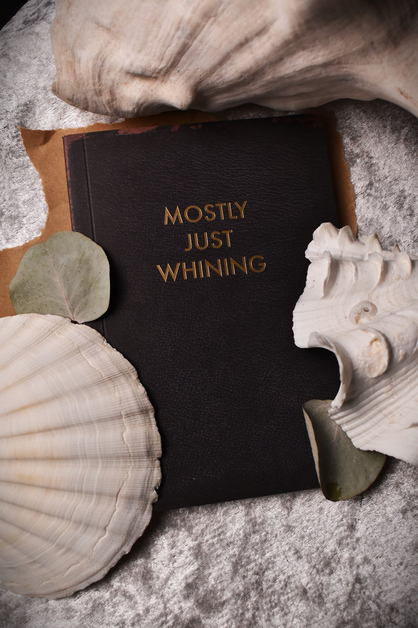 A5 Notebook 'Mostly Just Whining'