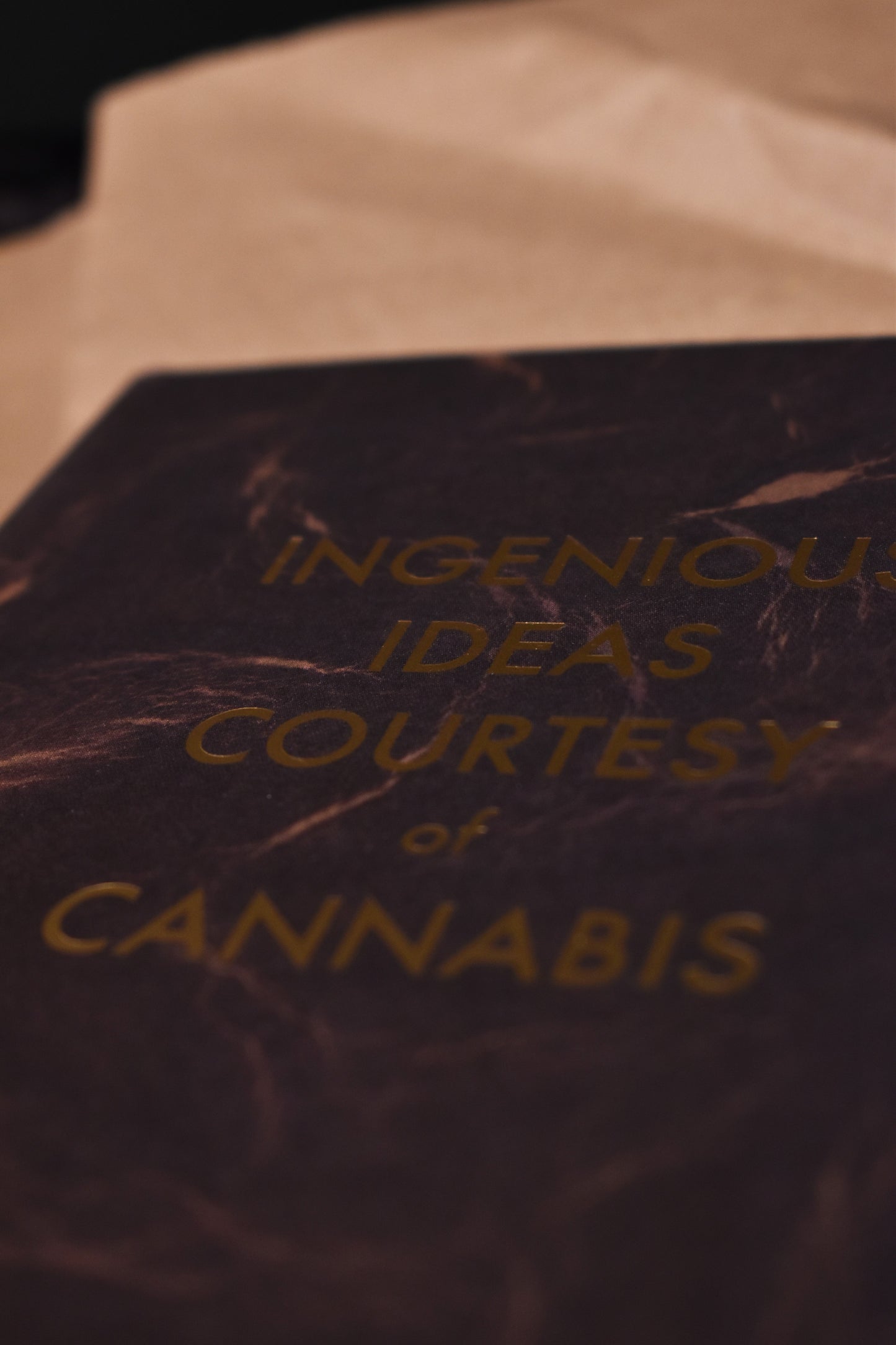 A5 Notebook 'Ingenious Ideas Courtesy of Cannabis'