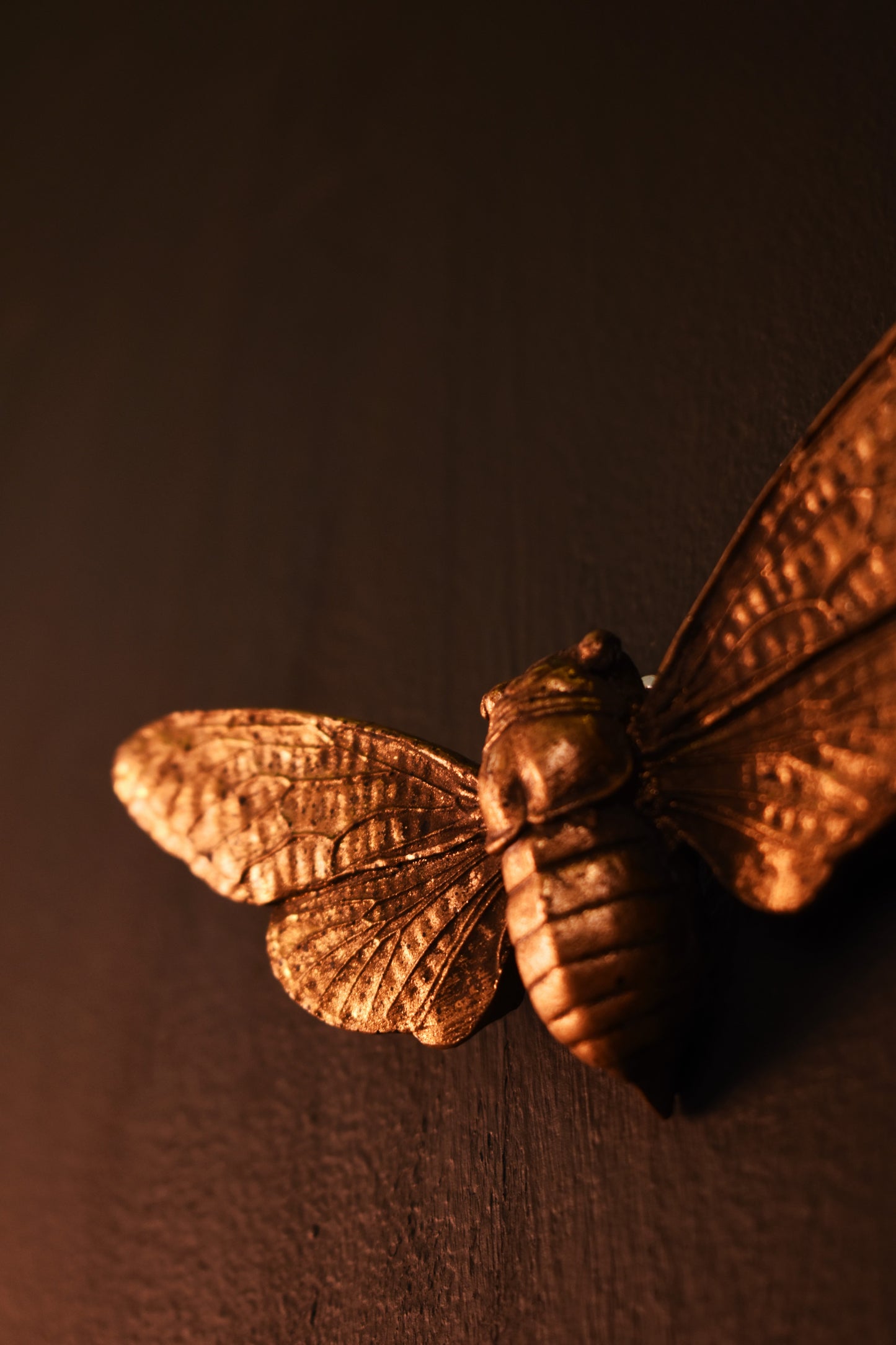 Cicada Wall Decoration