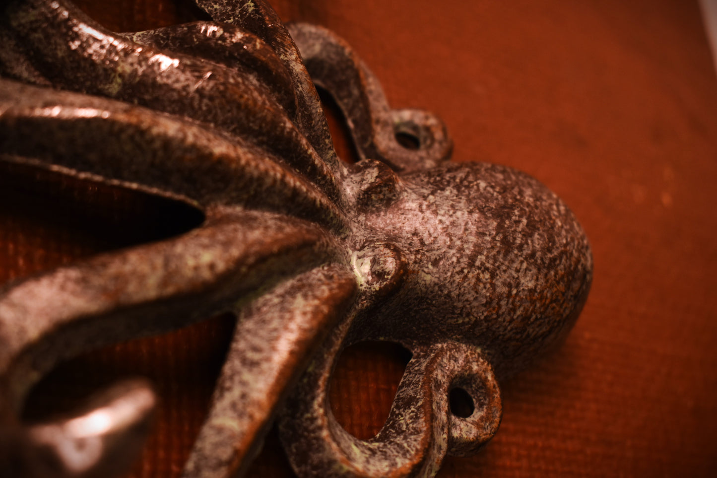 Octopus Wall Hook