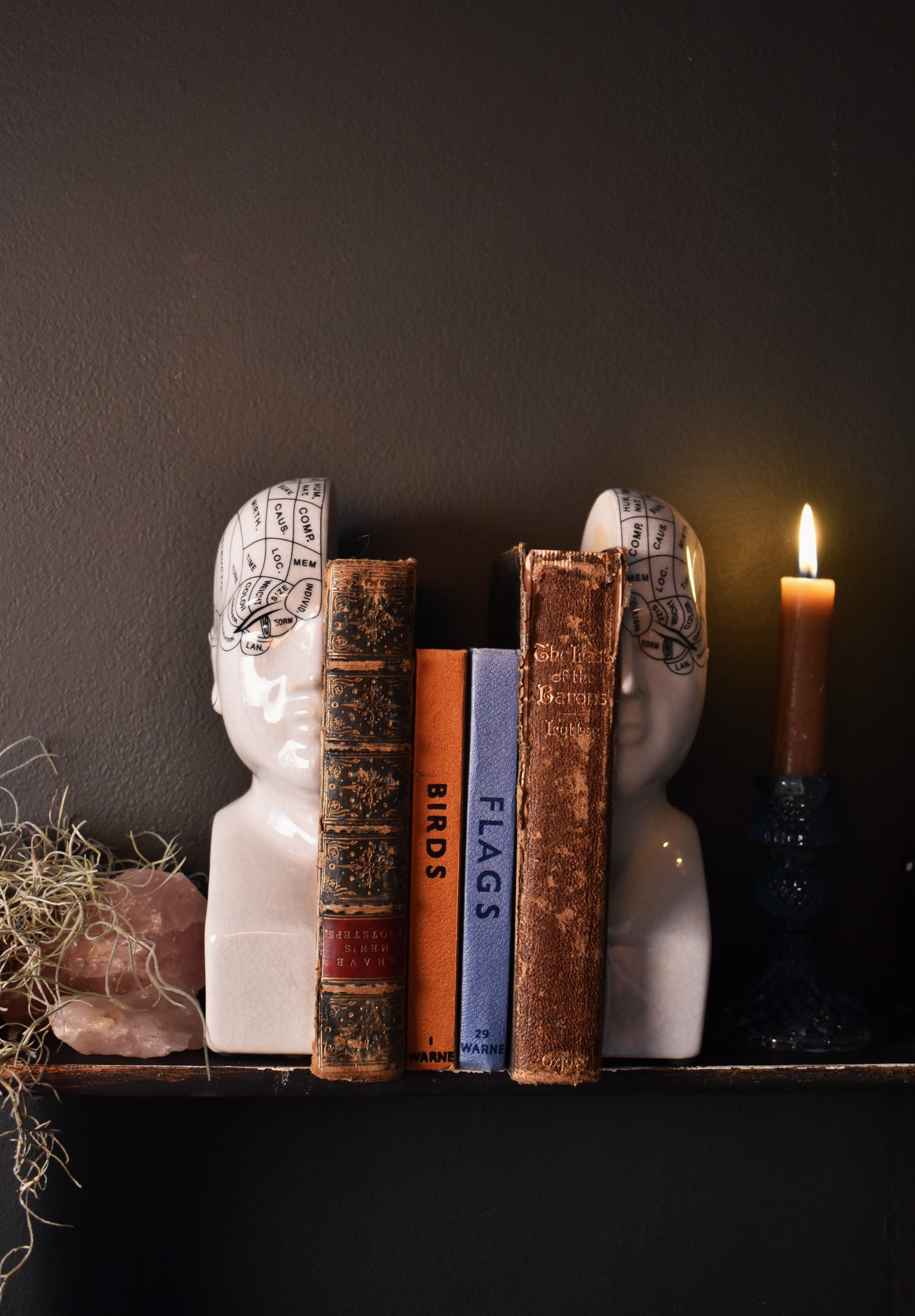 Phrenology Bookends