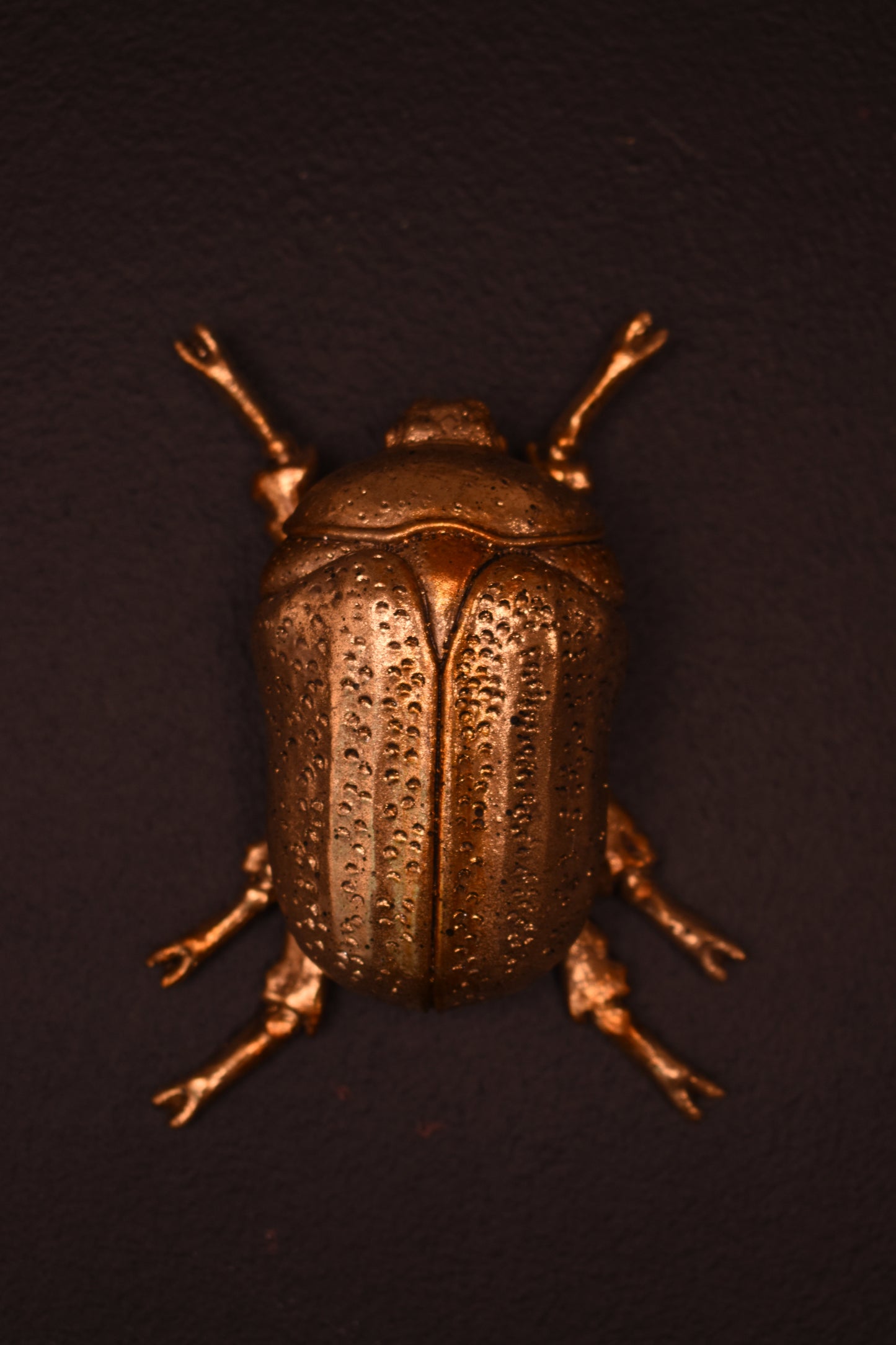 Set of Three Gold Wall Beetles