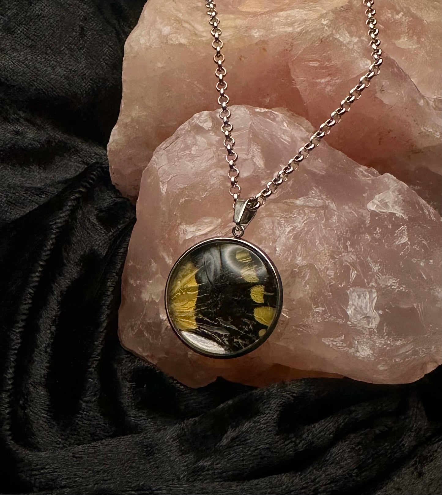 Silver Papilio thoas Butterfly Wing Necklace