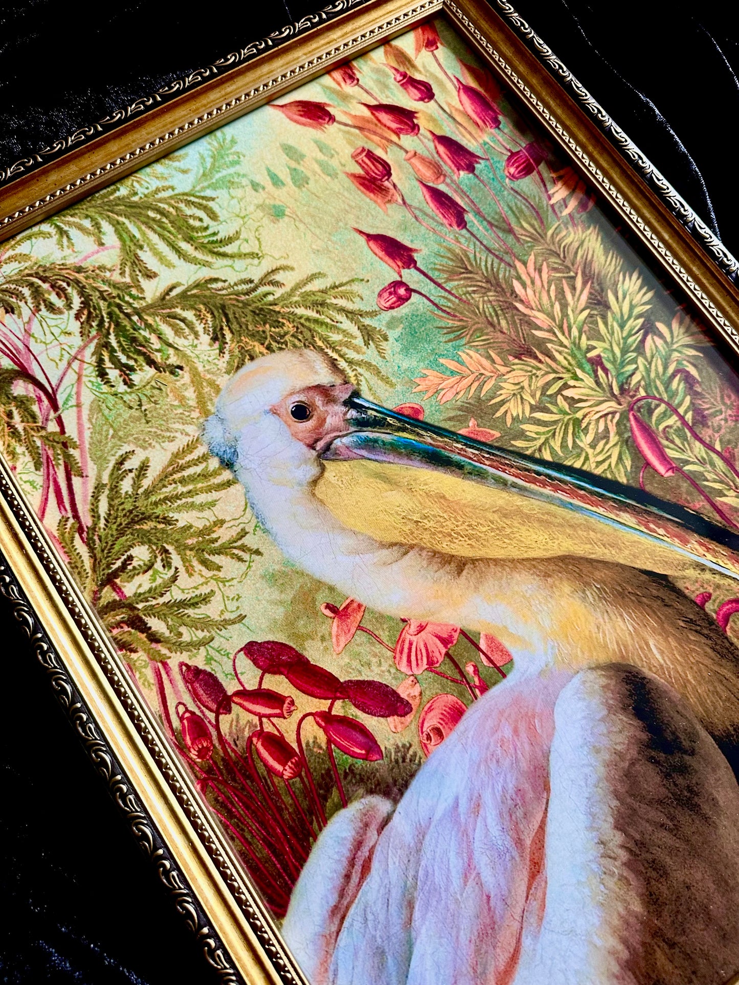 Pelican A3 Print