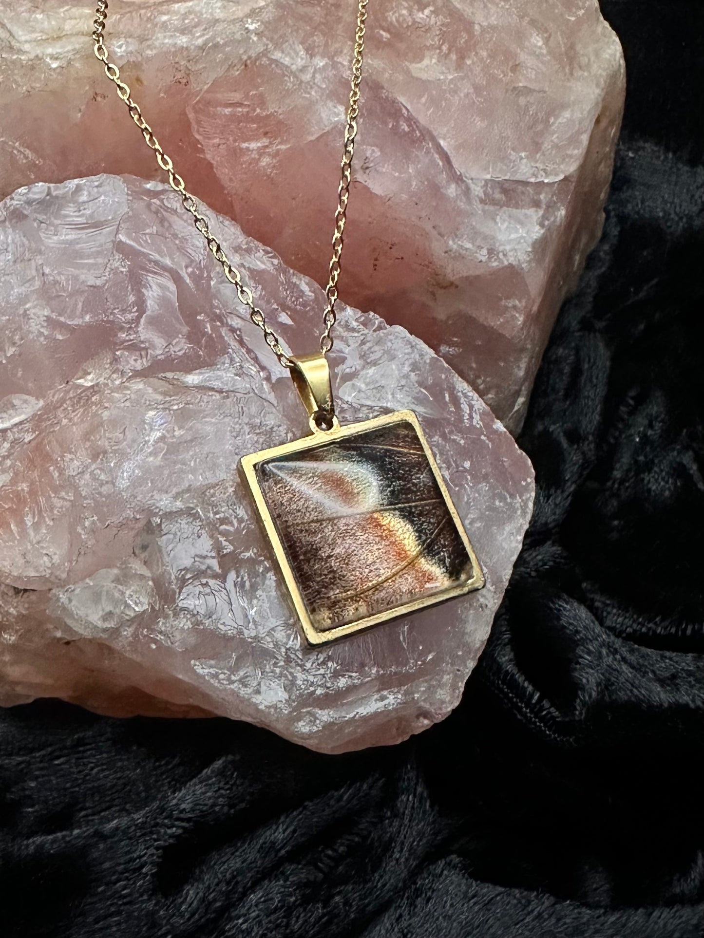 Gold Attacus atlas Butterfly Wing Necklace