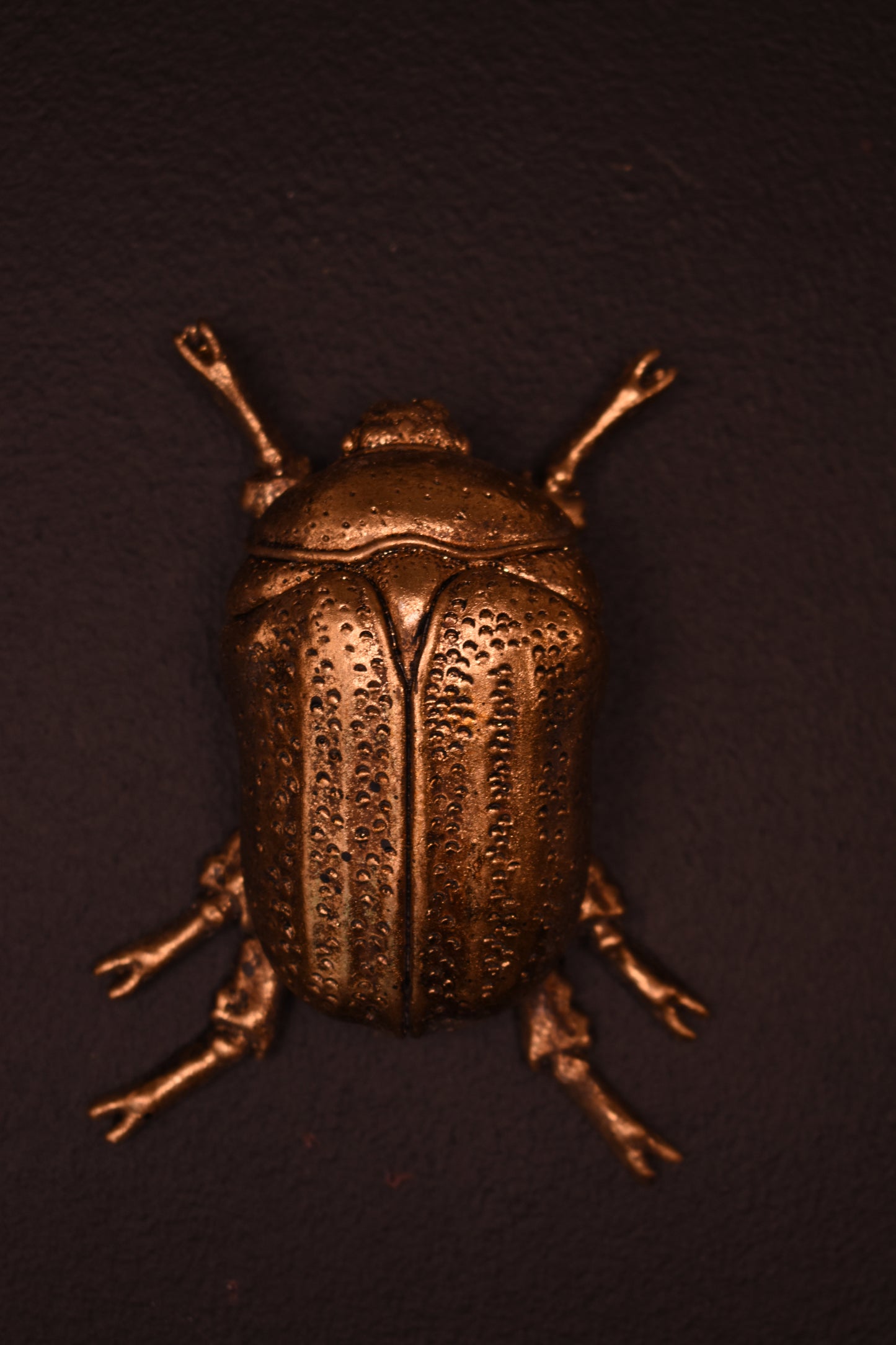 Set of Three Gold Wall Beetles