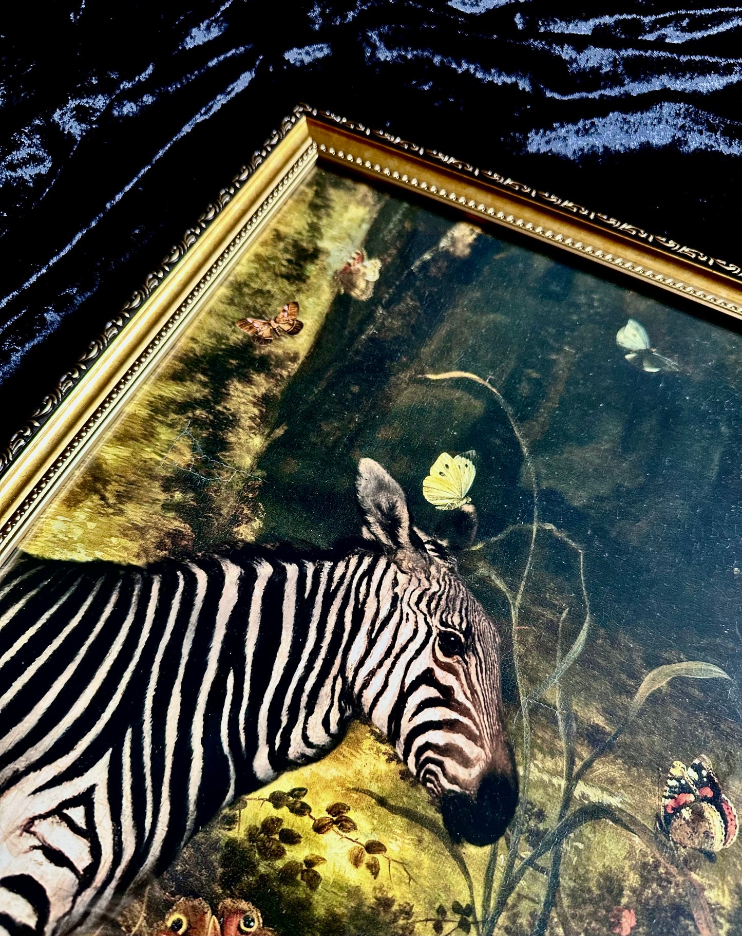 Zebra Nemus A3 Print