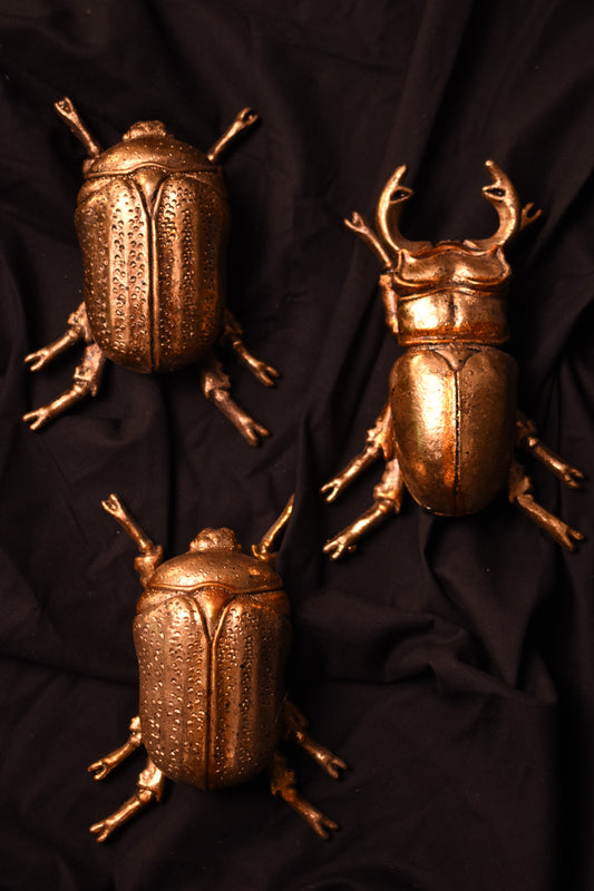 Set of Three Gold Wall Beetles