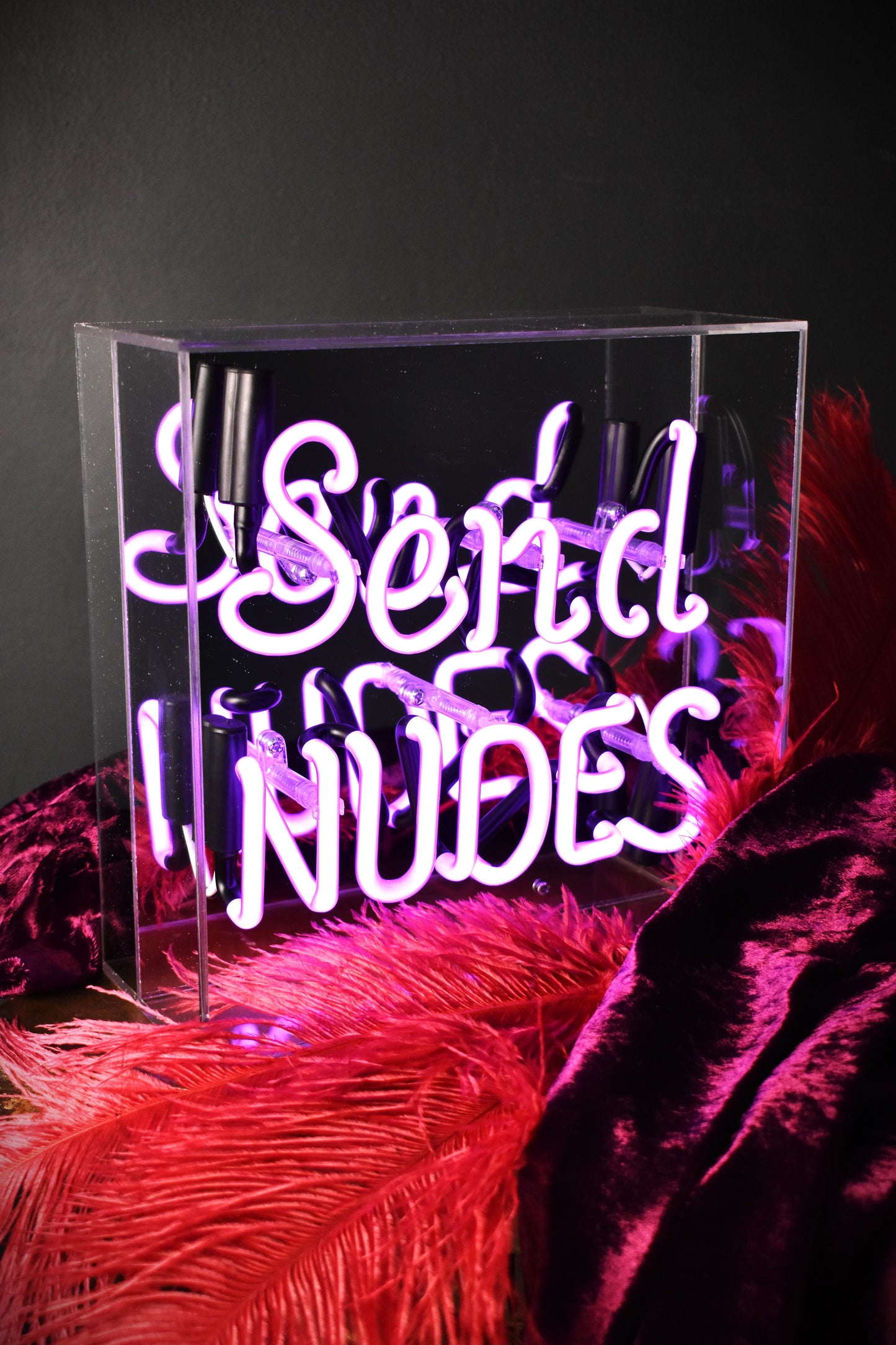 Send Nudes Neon Sign