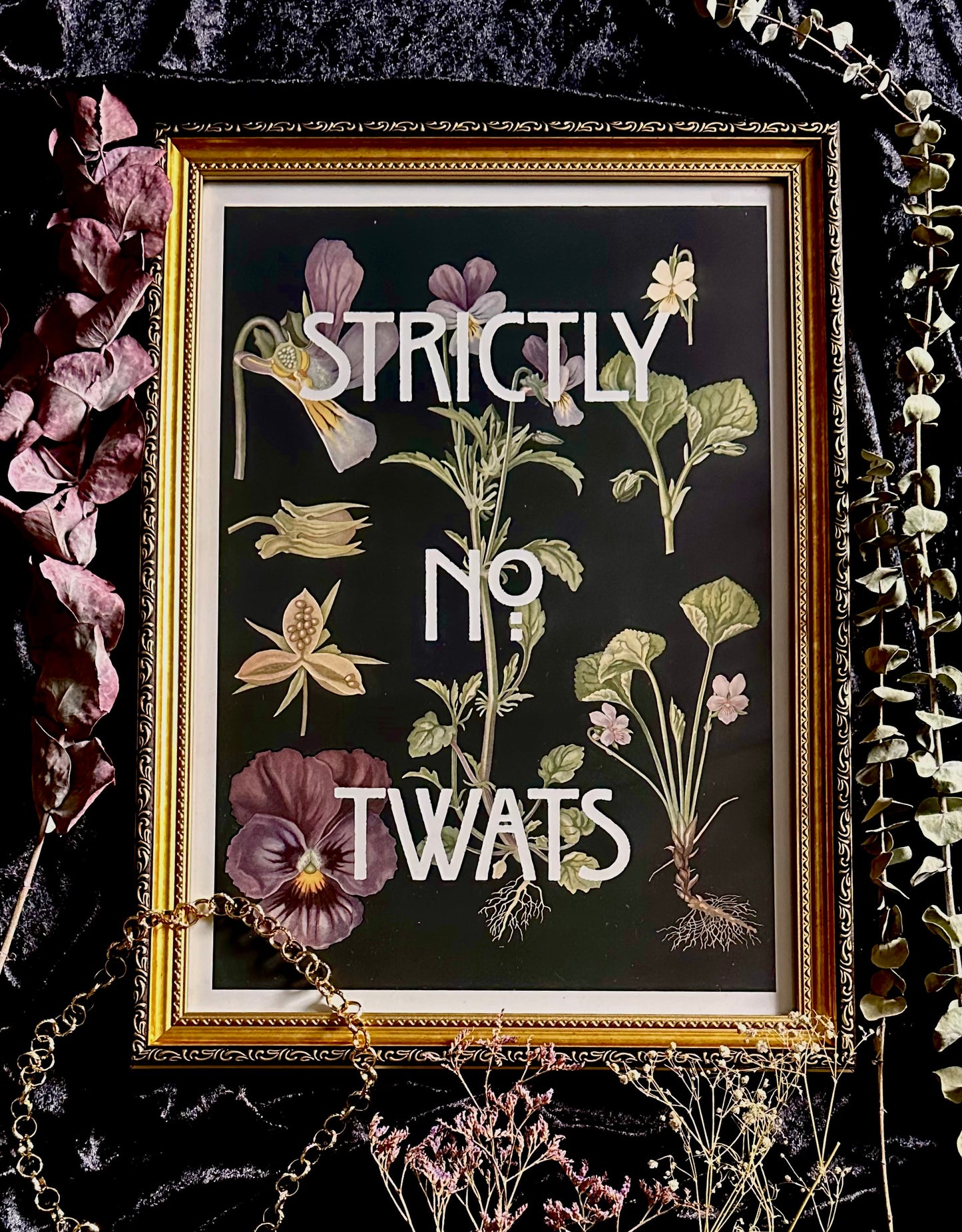 Strictly No Twats A3 Print