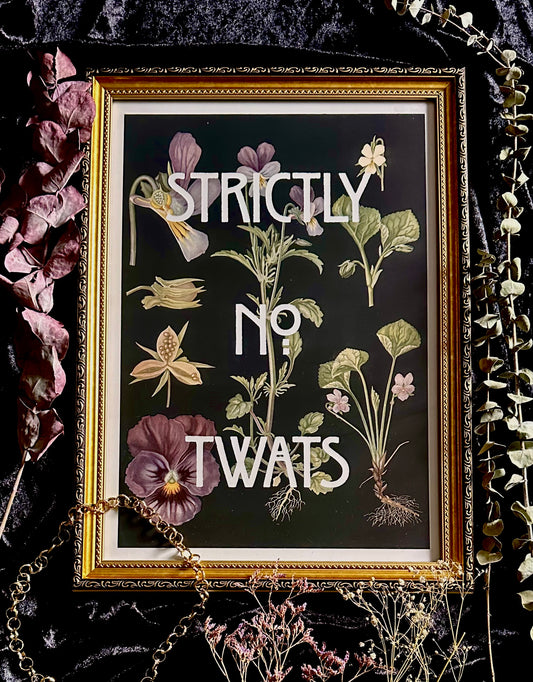 Strictly No Twats A3 Print