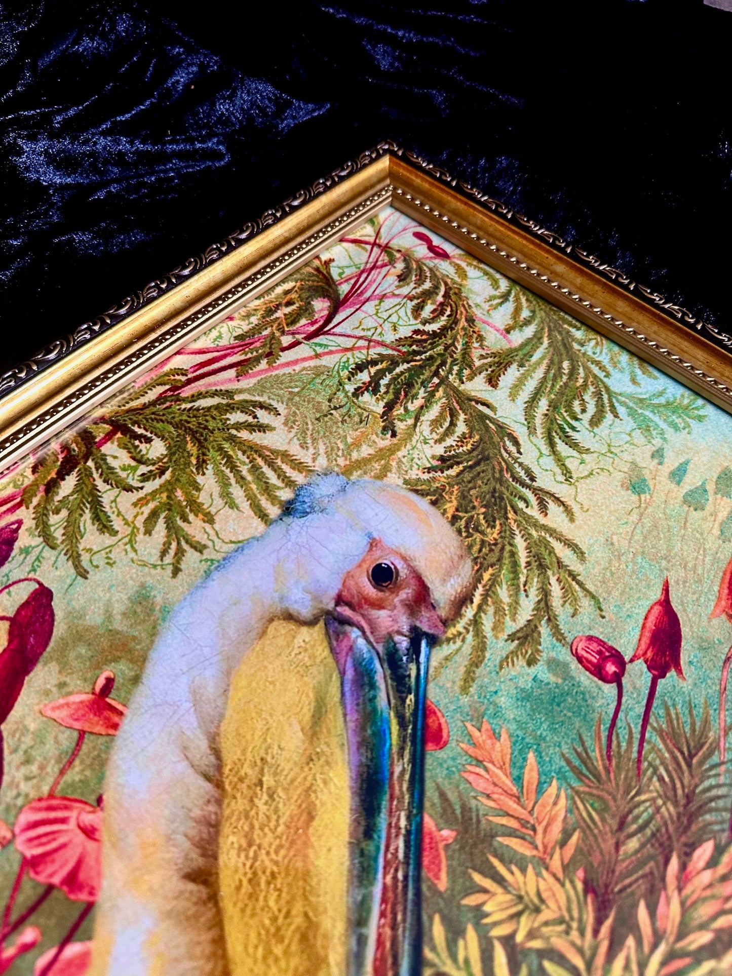 Pelican A3 Print