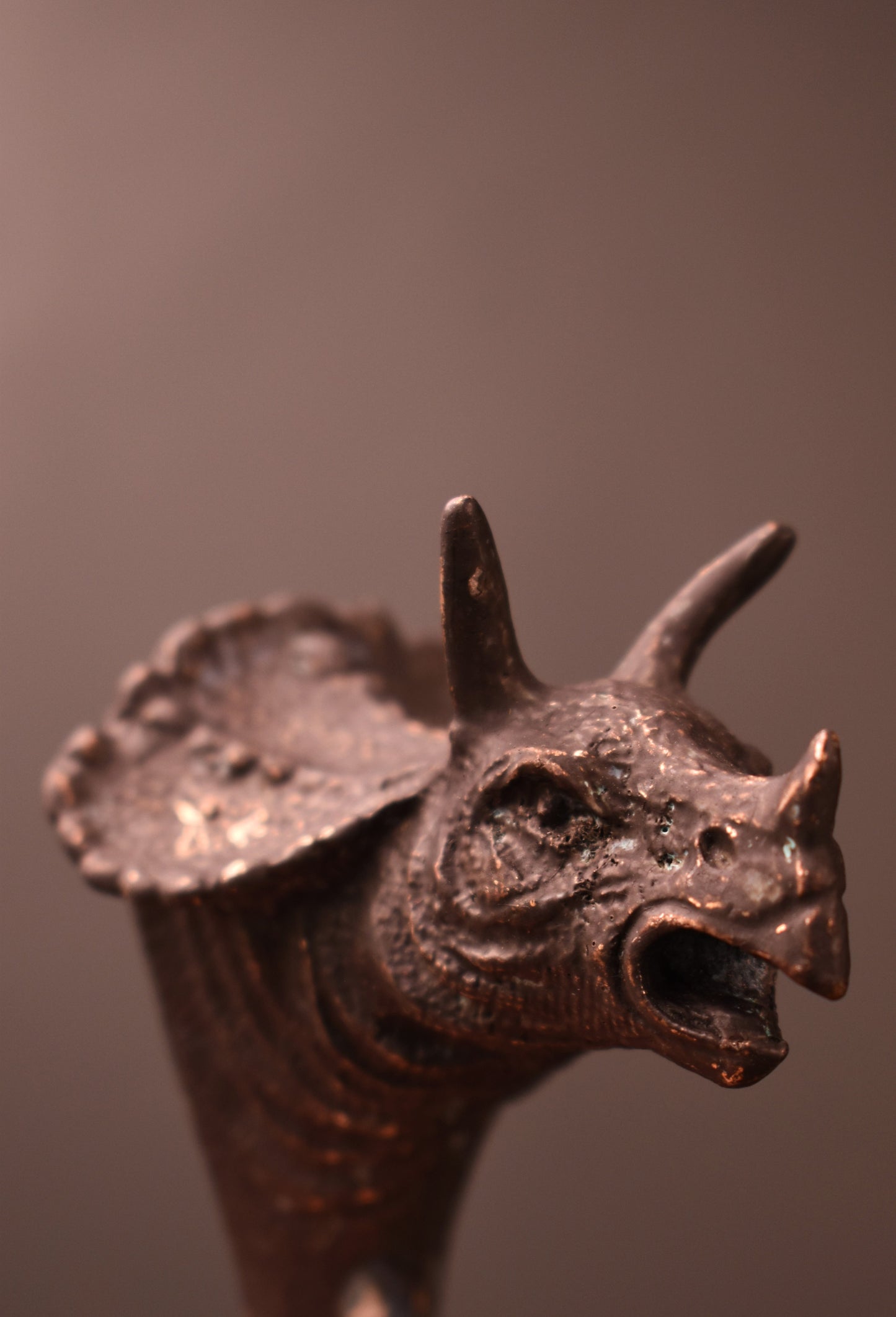 Triceratops Wall Hook