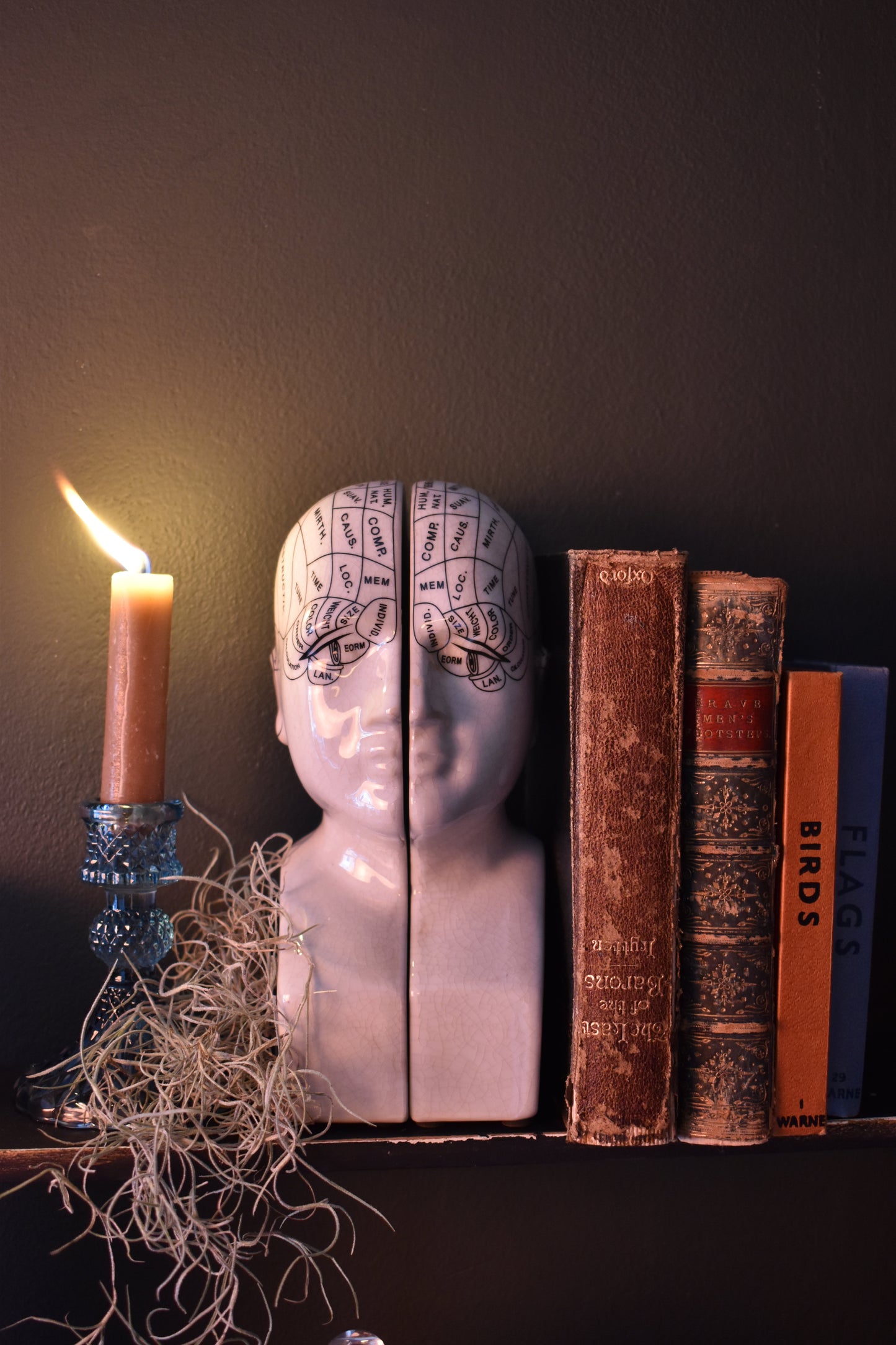 Phrenology Bookends