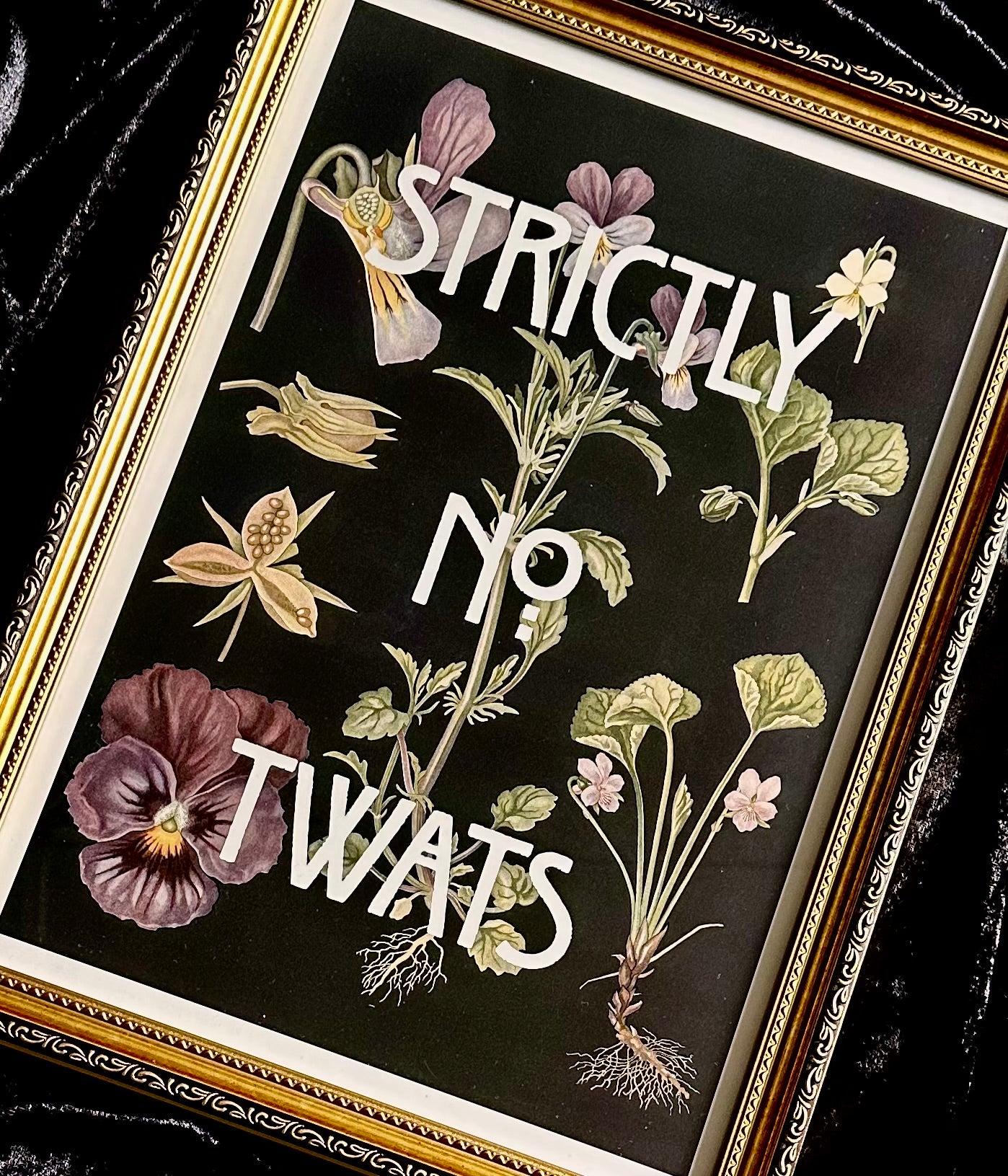 Strictly No Twats A3 Print