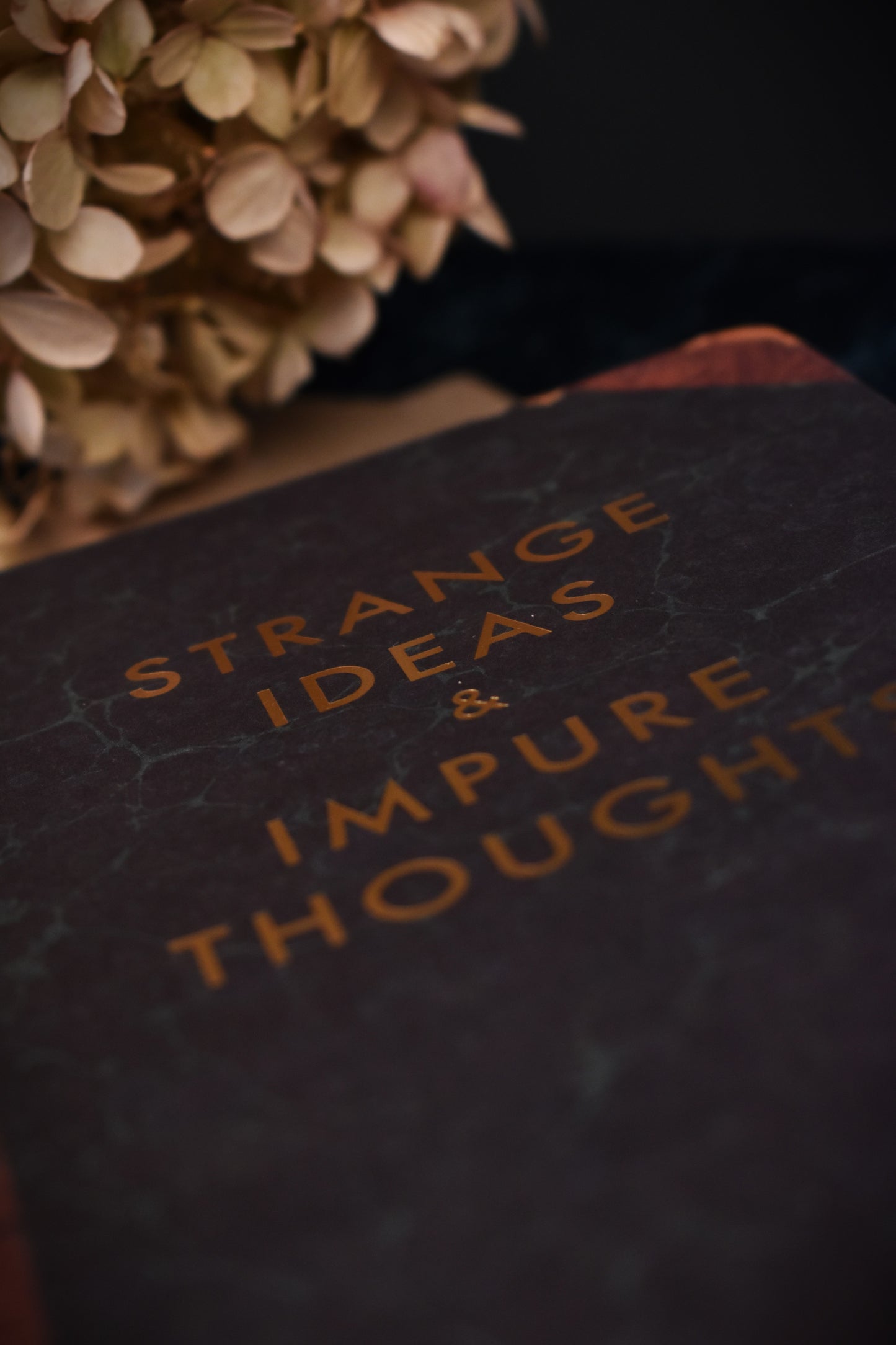 A5 Notebook 'Strange Ideas and Impure Thoughts'