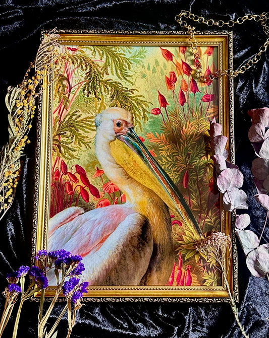 Pelican A3 Print