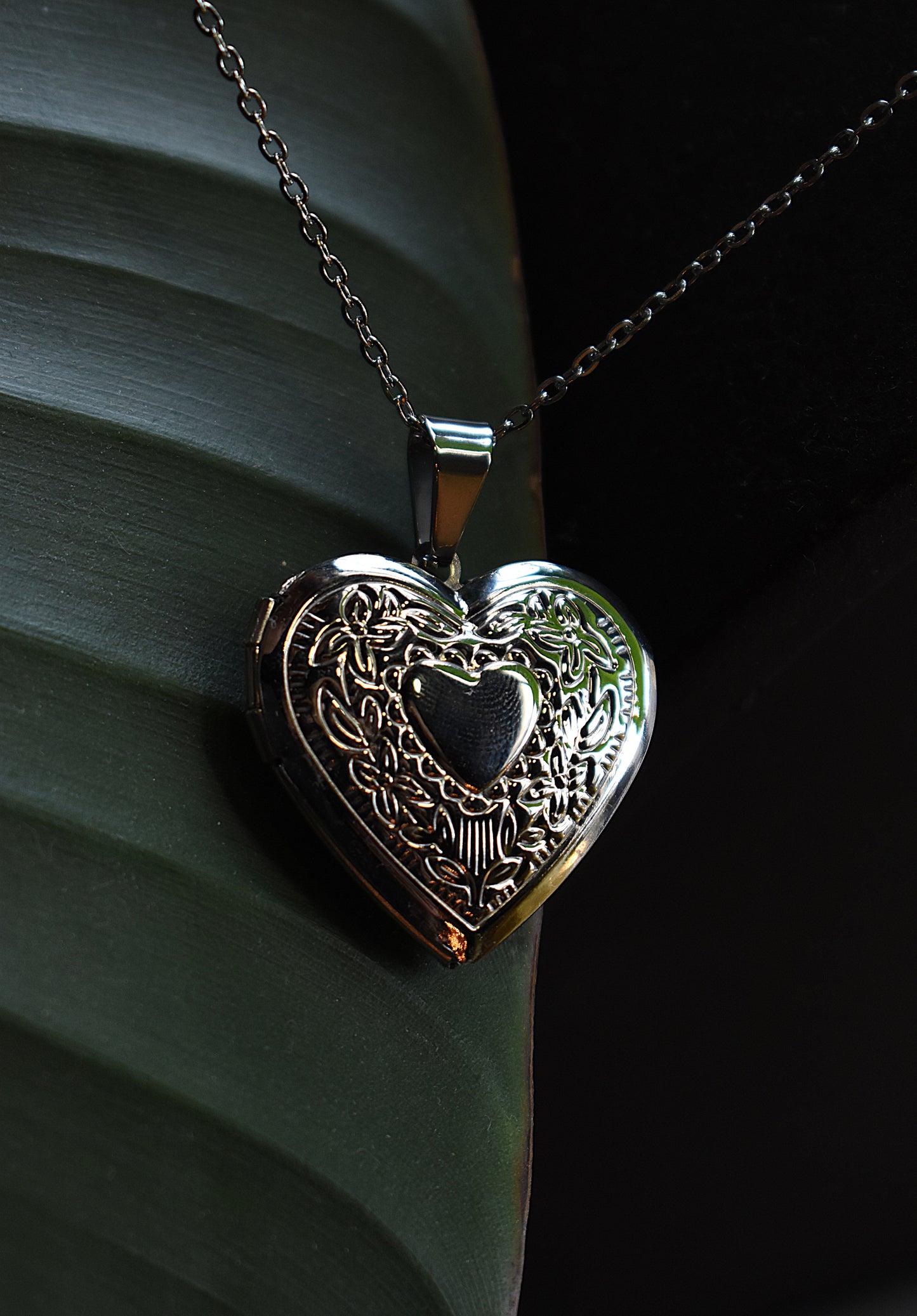 Moonlit Heart Locket ~ Silver