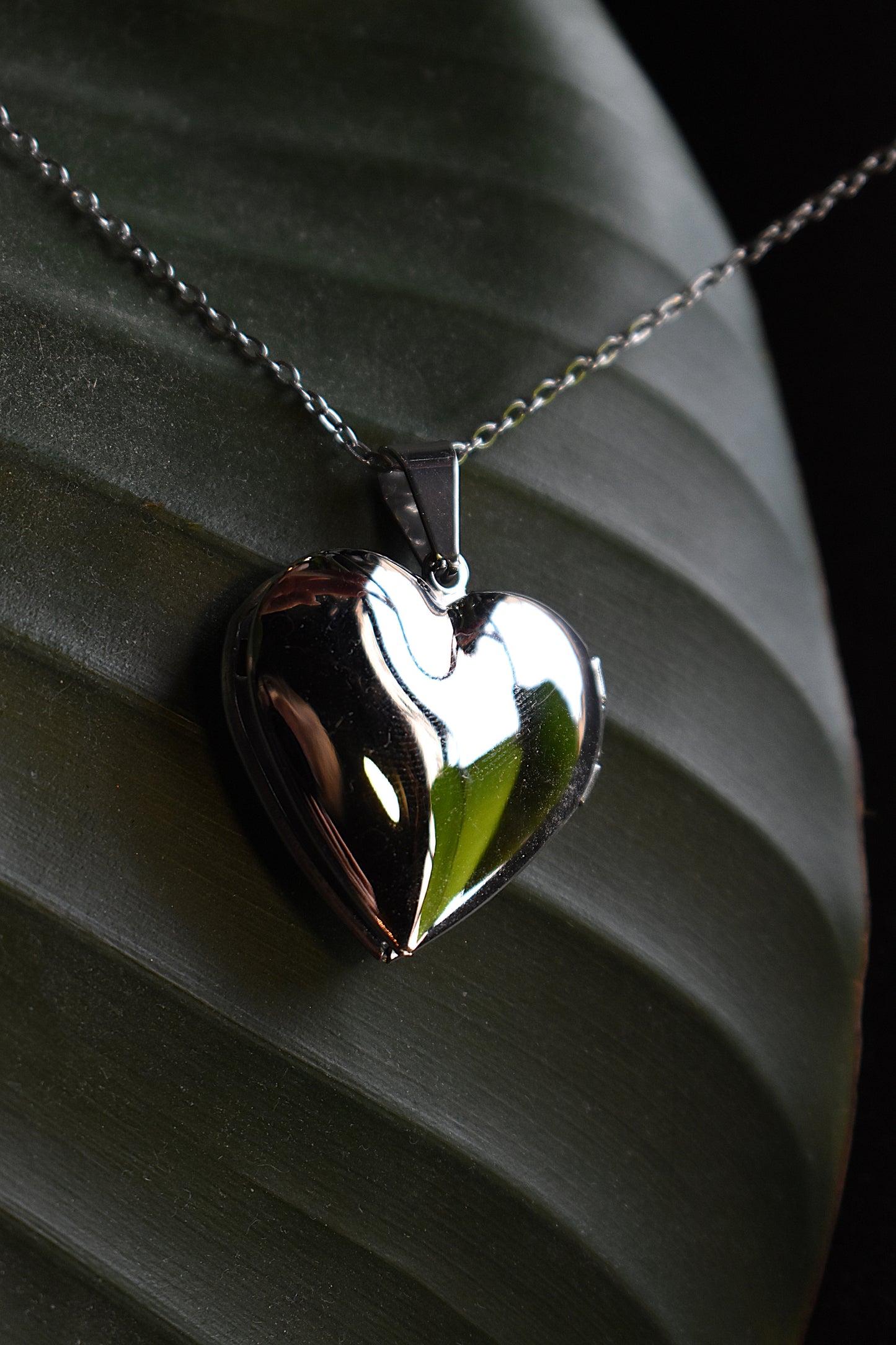 Moonlit Heart Locket ~ Silver
